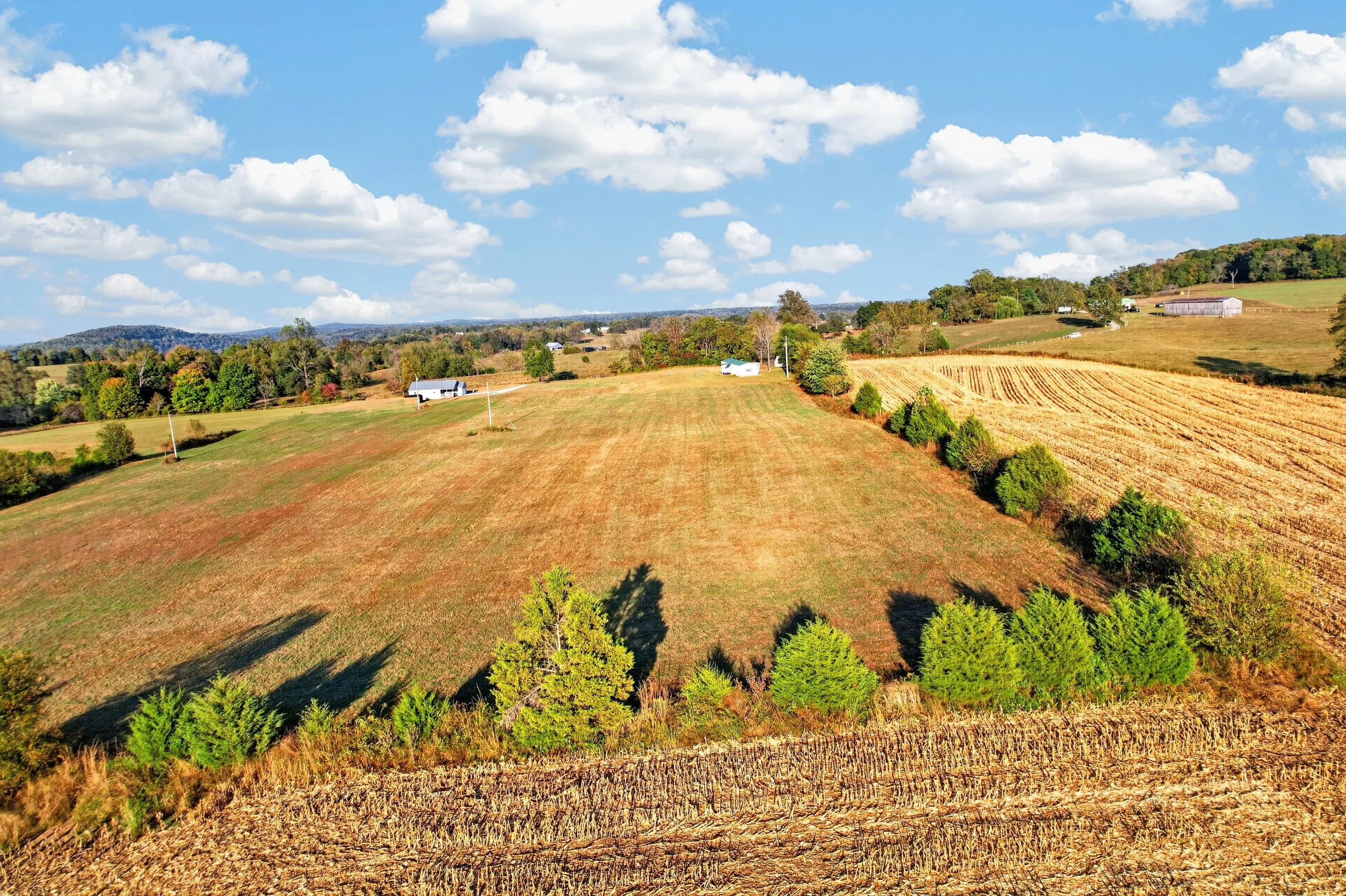DJI_0668.jpg