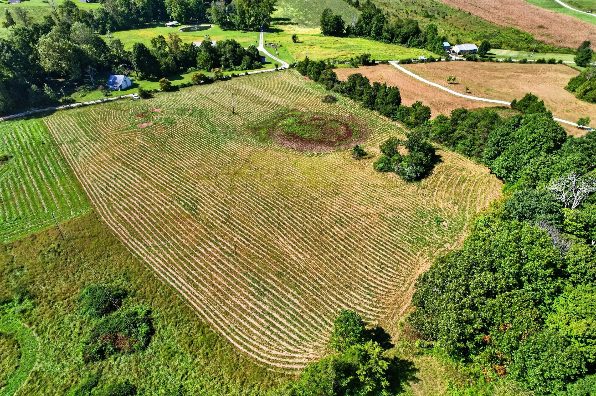DJI_0887.jpg