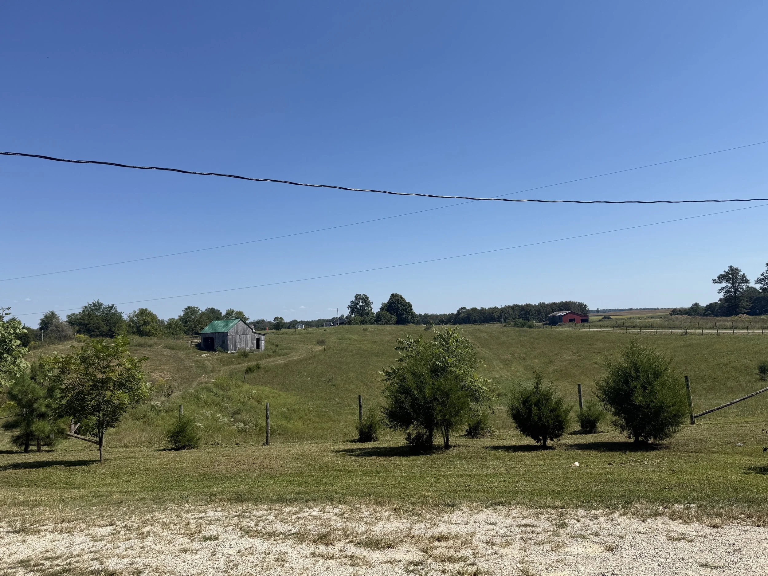 IMG_1937.jpeg