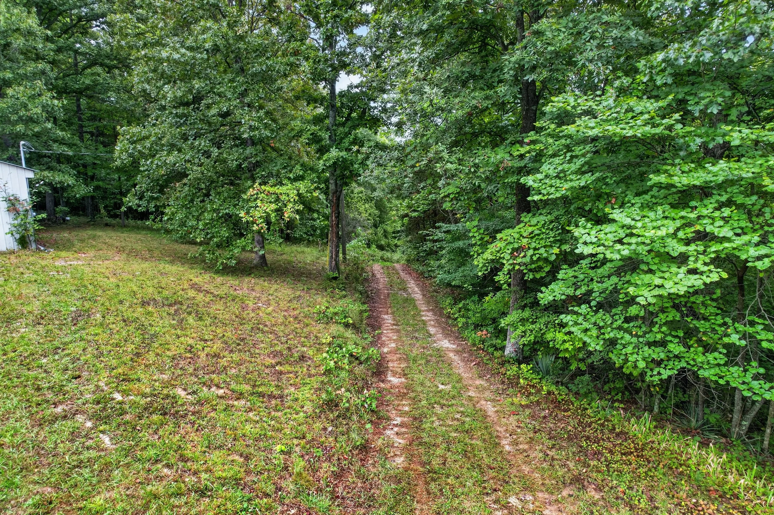 DJI_0256.jpg