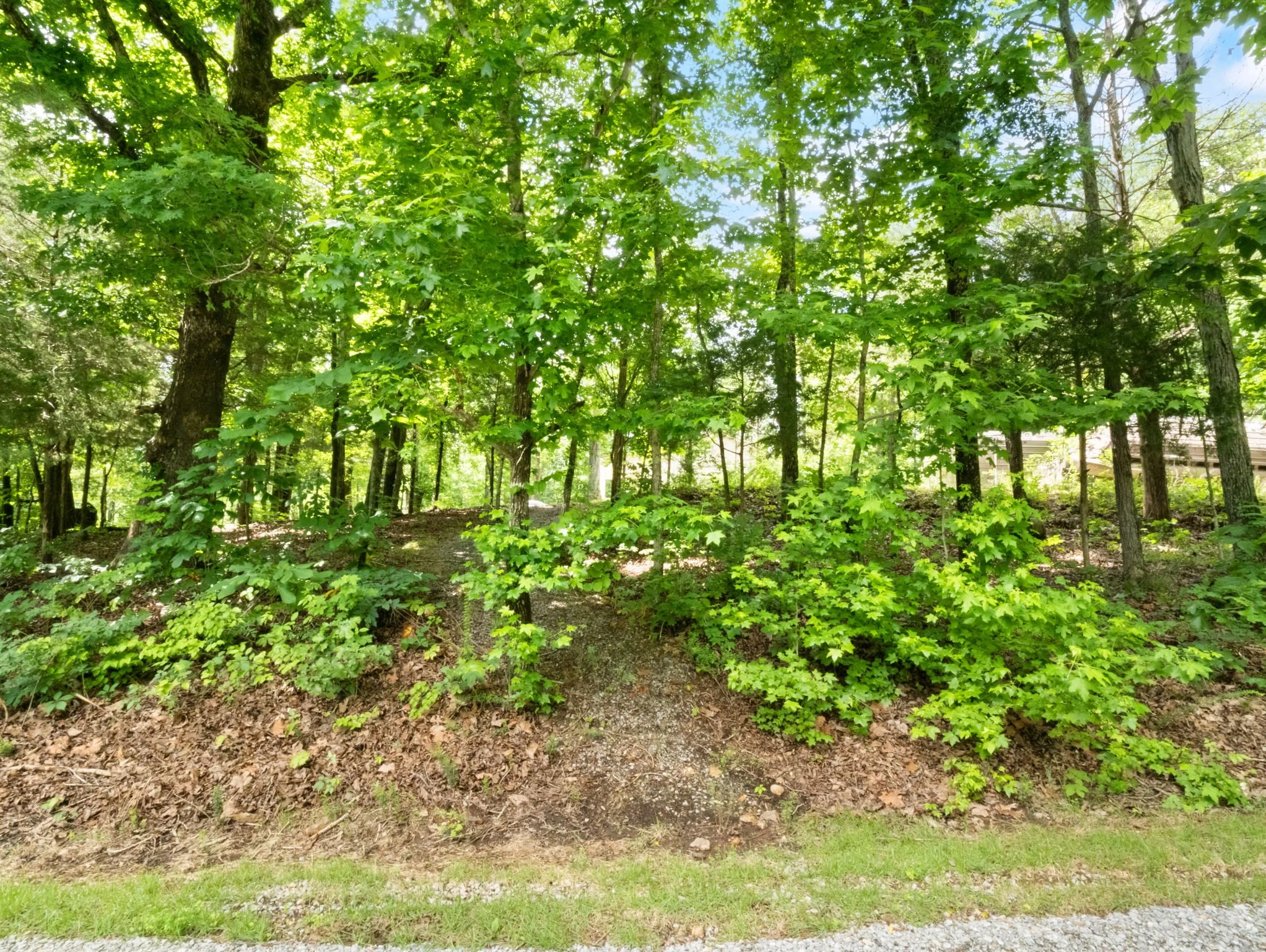 27-web-or-mls-P1025681.jpg