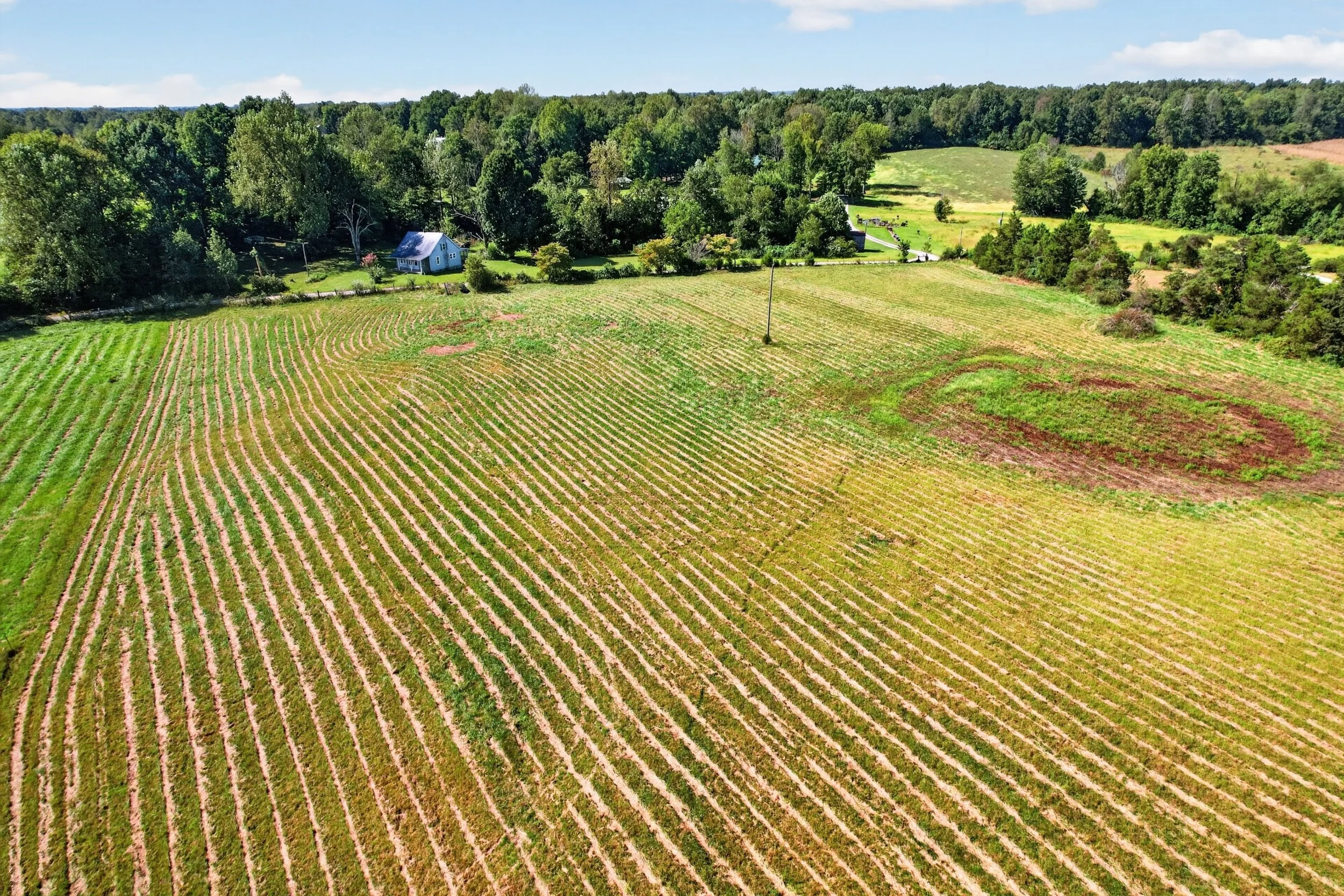 DJI_0893.jpg