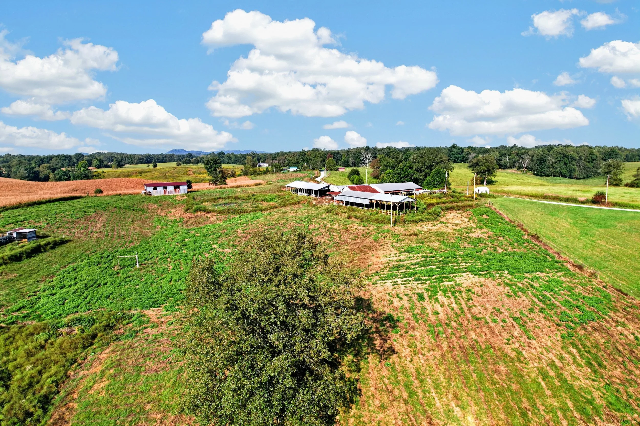 DJI_0167.jpg