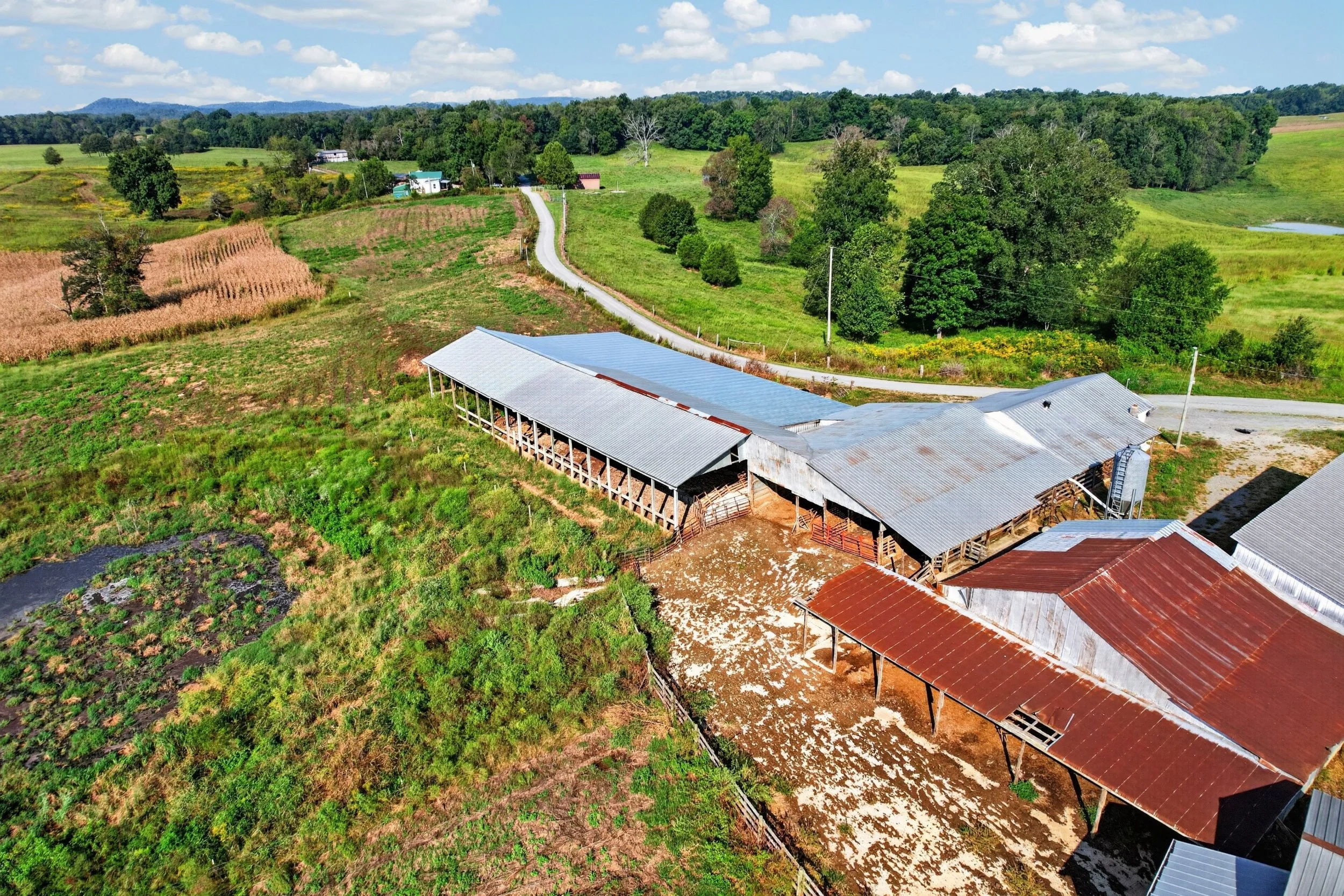 DJI_0126.jpg