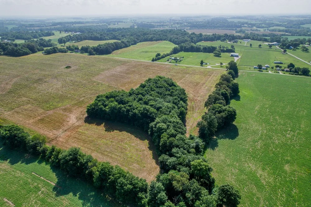 DJI_0919-HDR.jpg