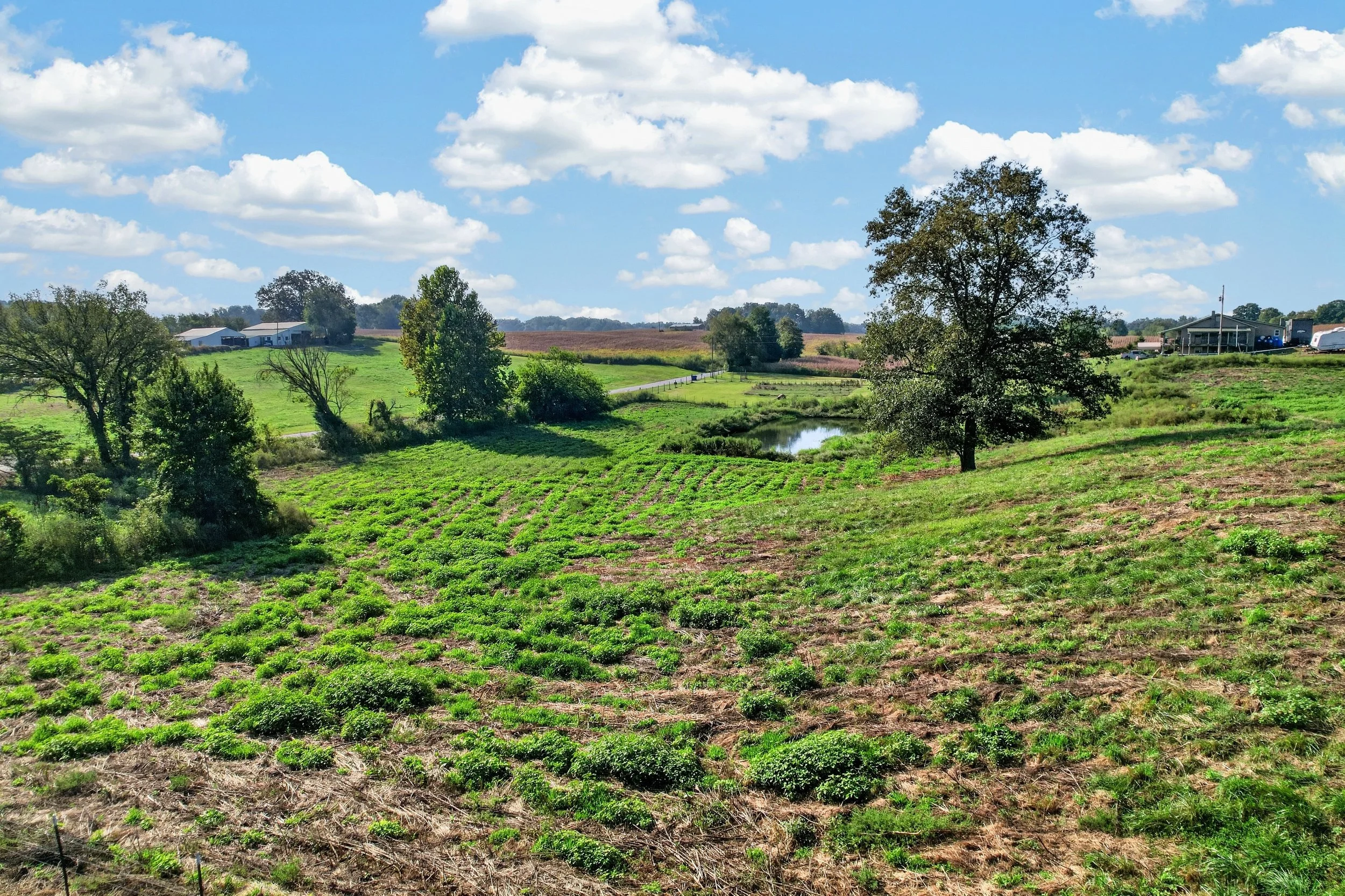DJI_0175.jpg