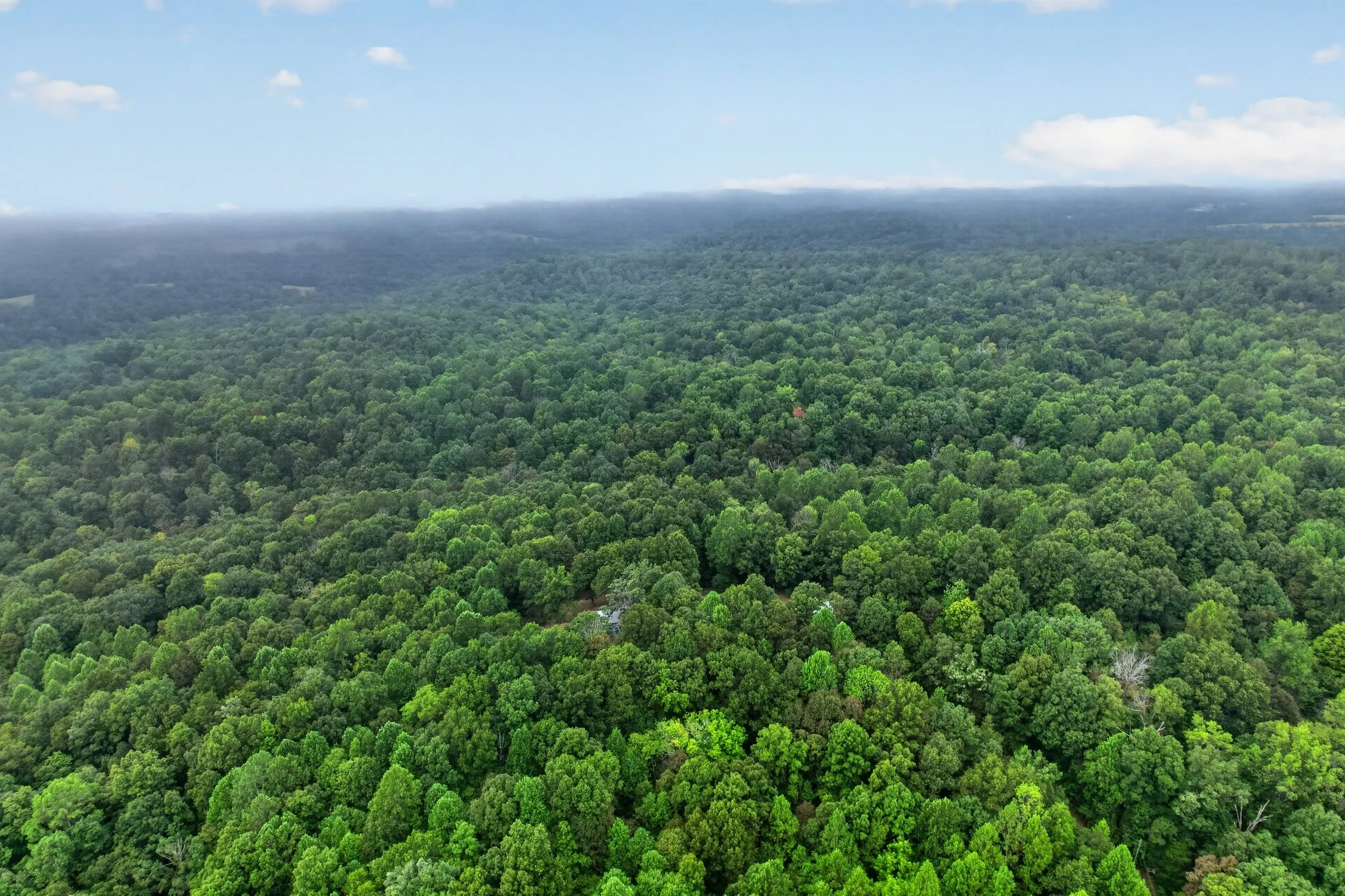 DJI_0264.jpg