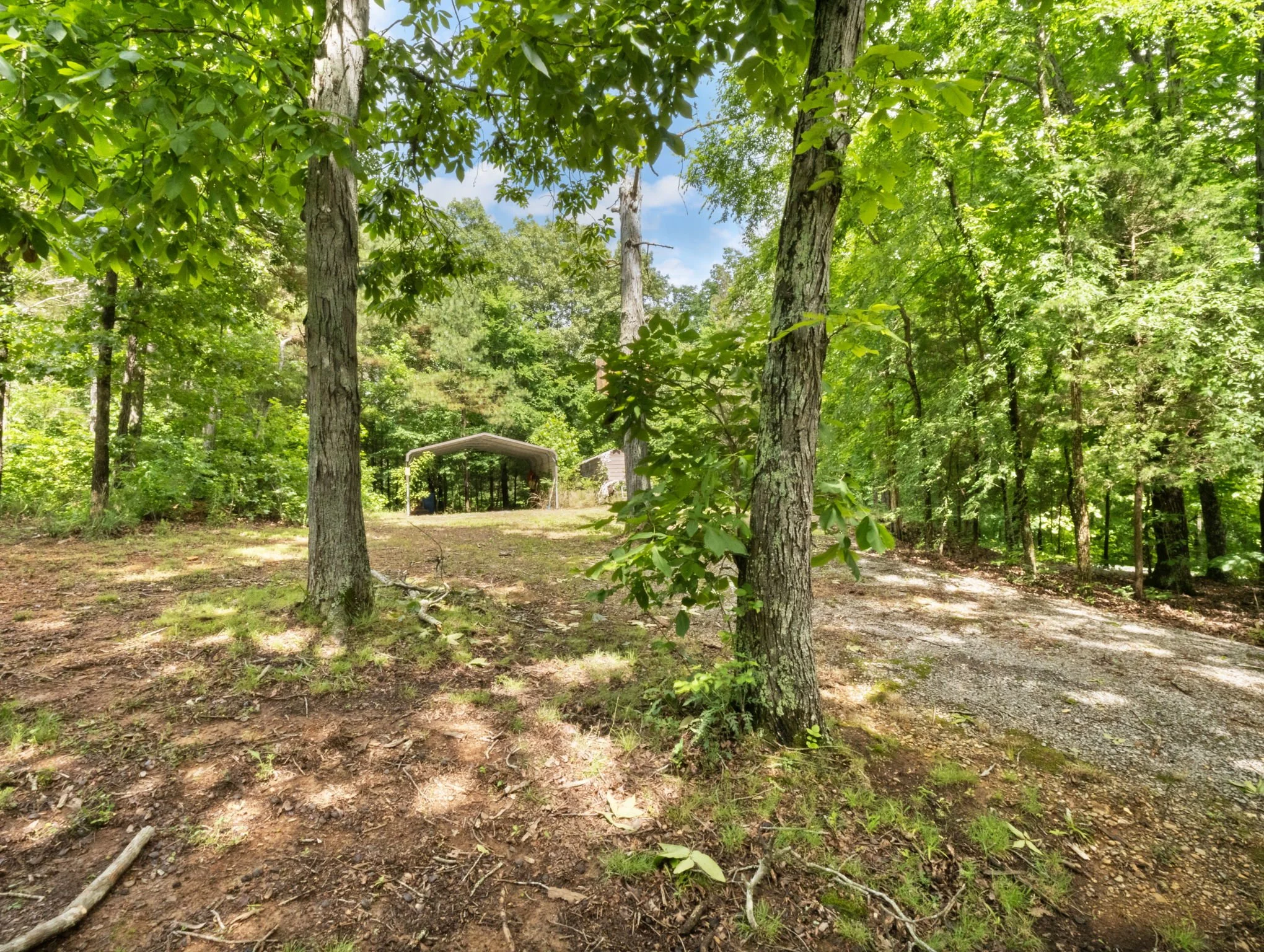 20-web-or-mls-P1025654.jpg