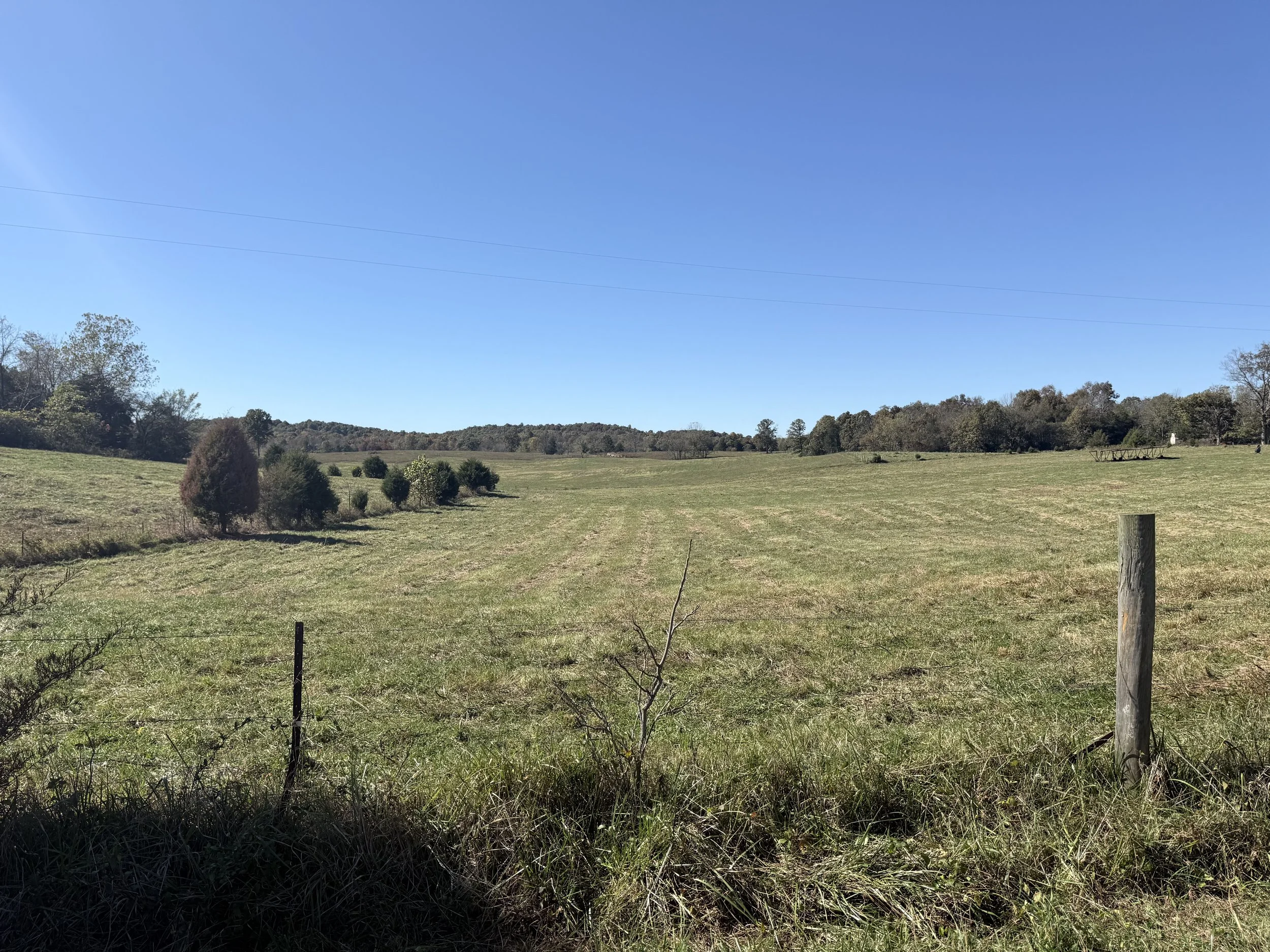 IMG_2788.jpeg