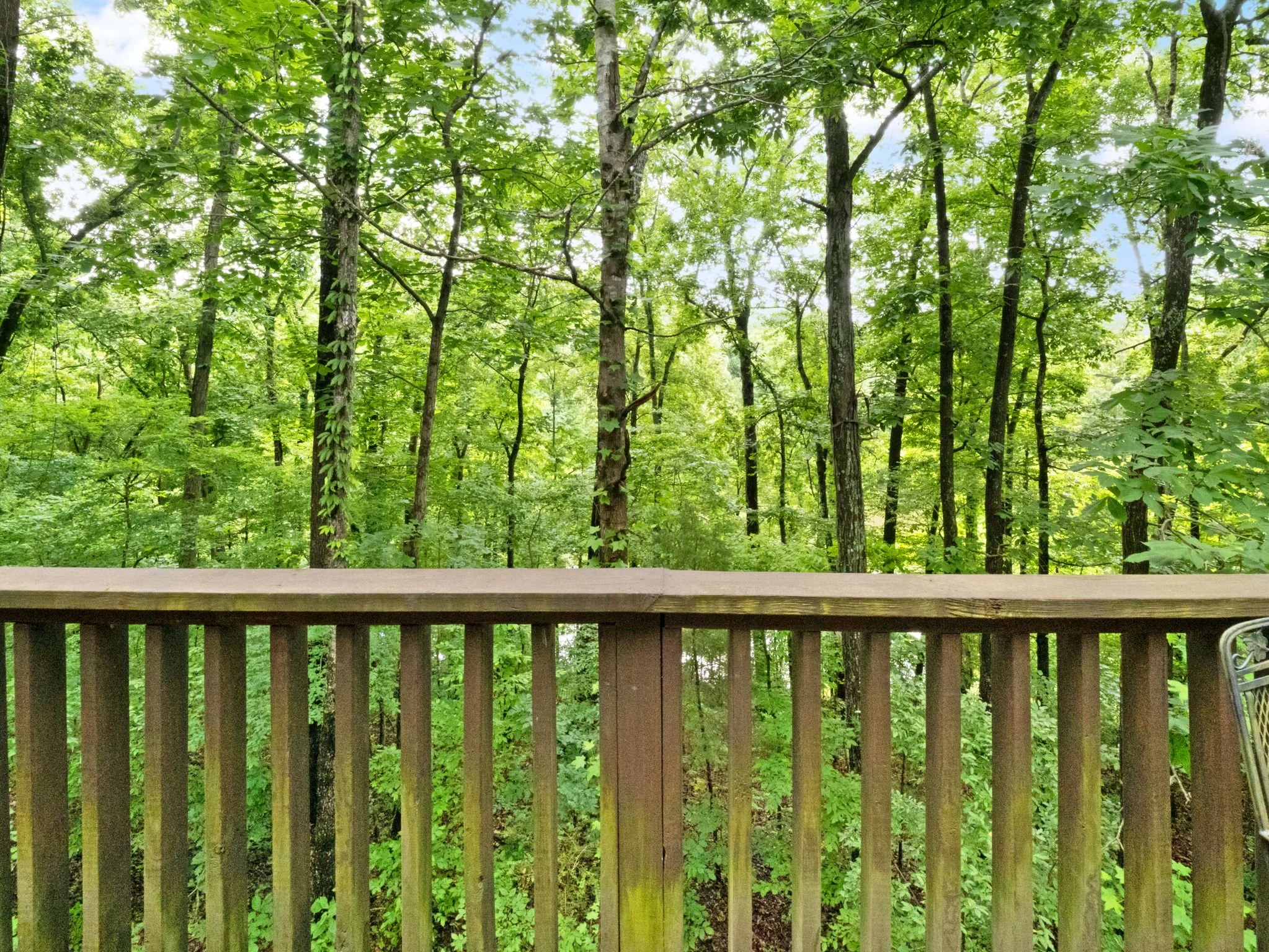 58-web-or-mls-P1025801.jpg