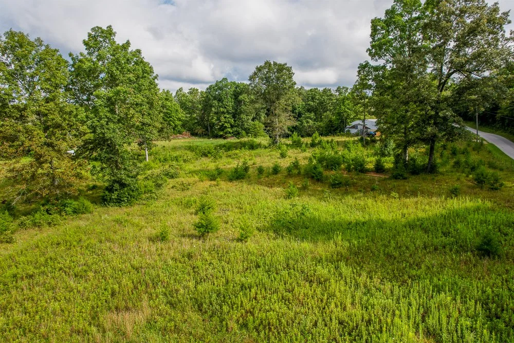 DJI_0553-HDR.jpg