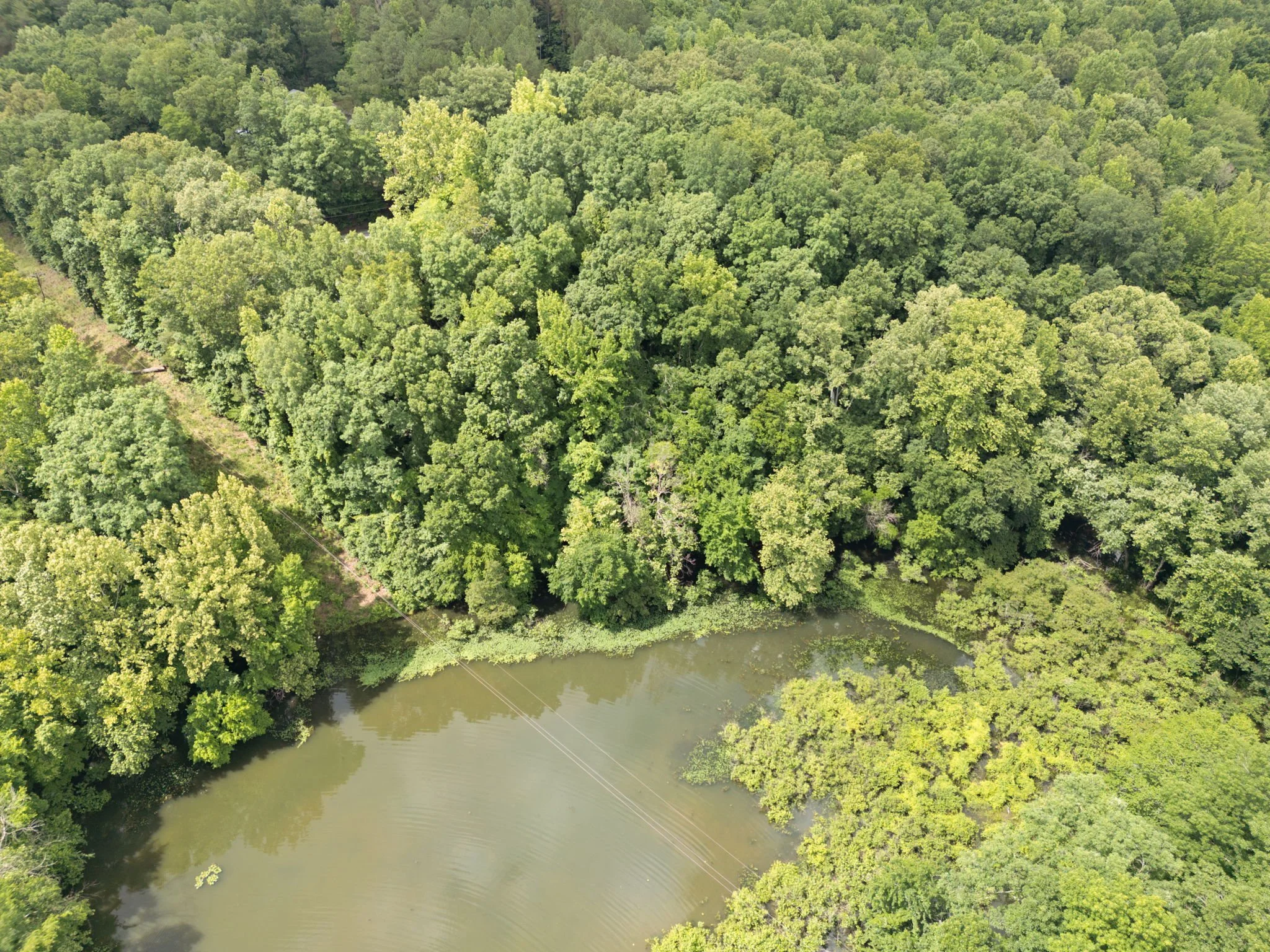 8-web-or-mls-DJI_0153.jpg