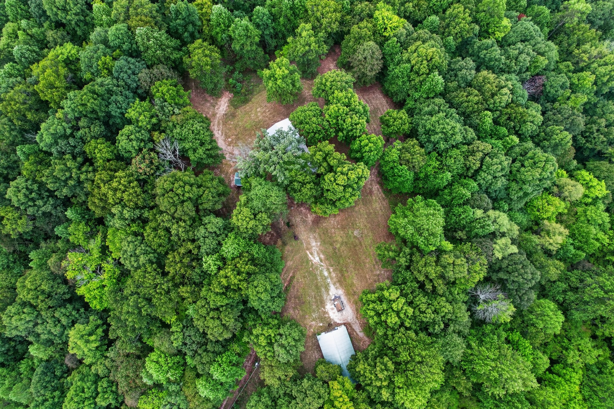 DJI_0275.jpg