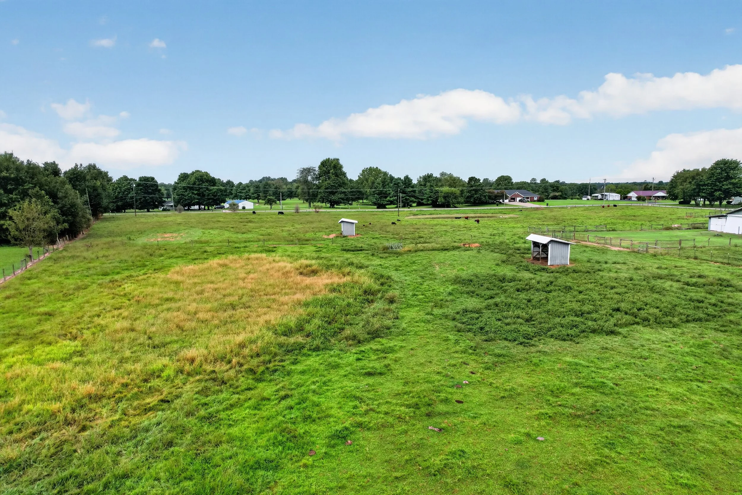 044_DJI_0319.jpg