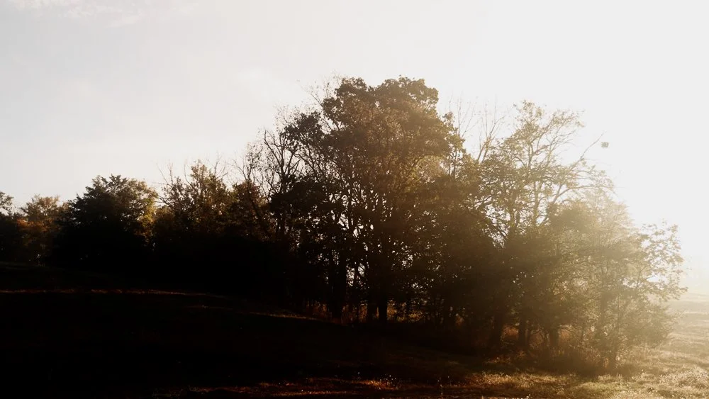 A16A1035.00_00_02_22.Still002.jpg