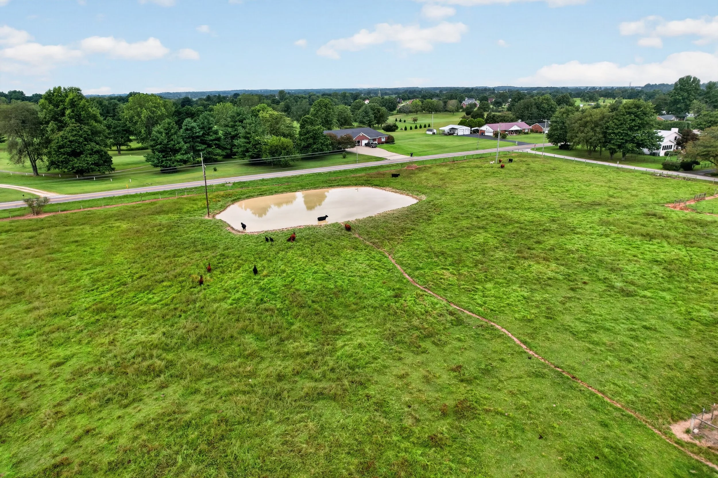050_DJI_0337.jpg