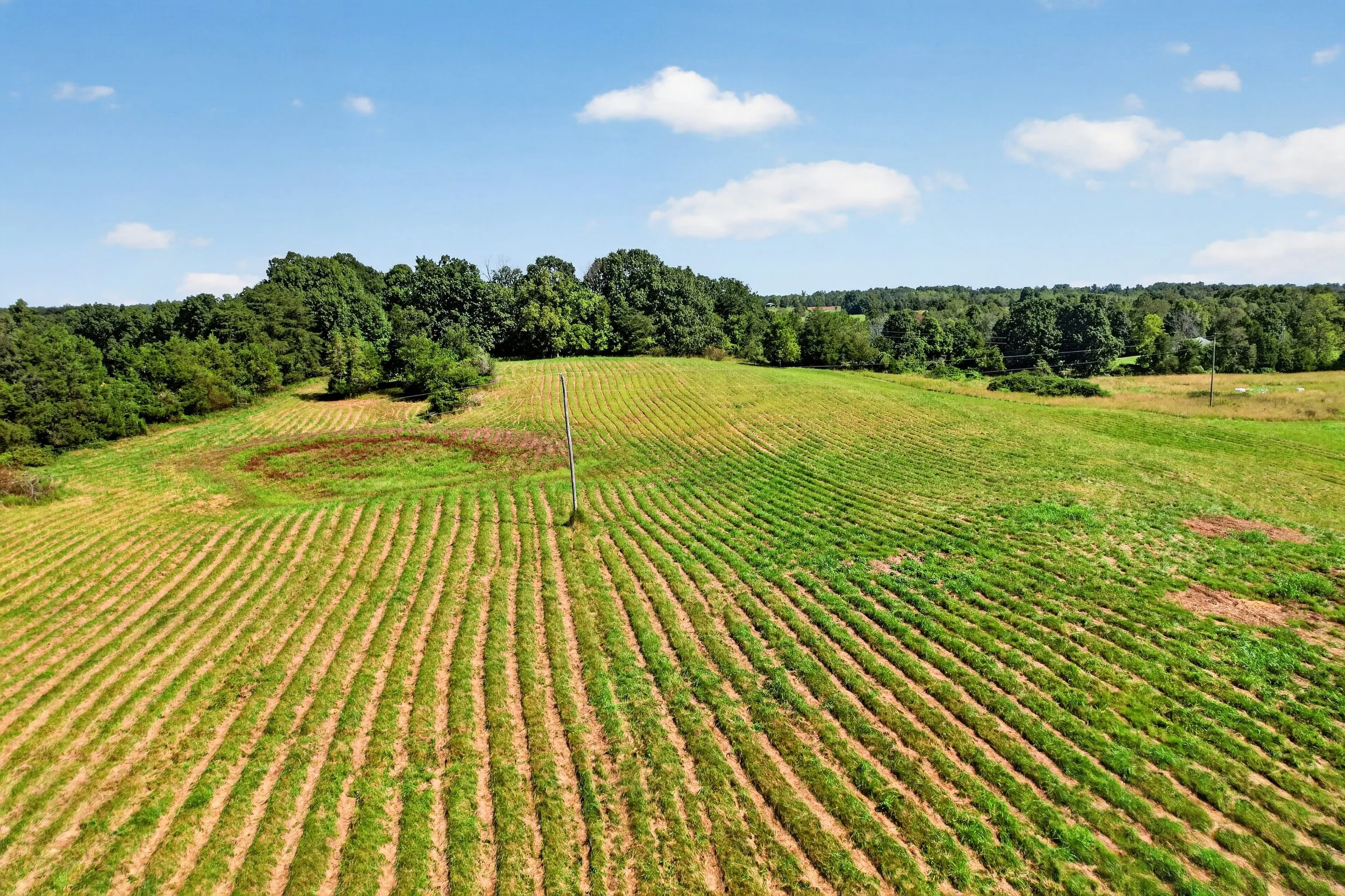 DJI_0920.jpg