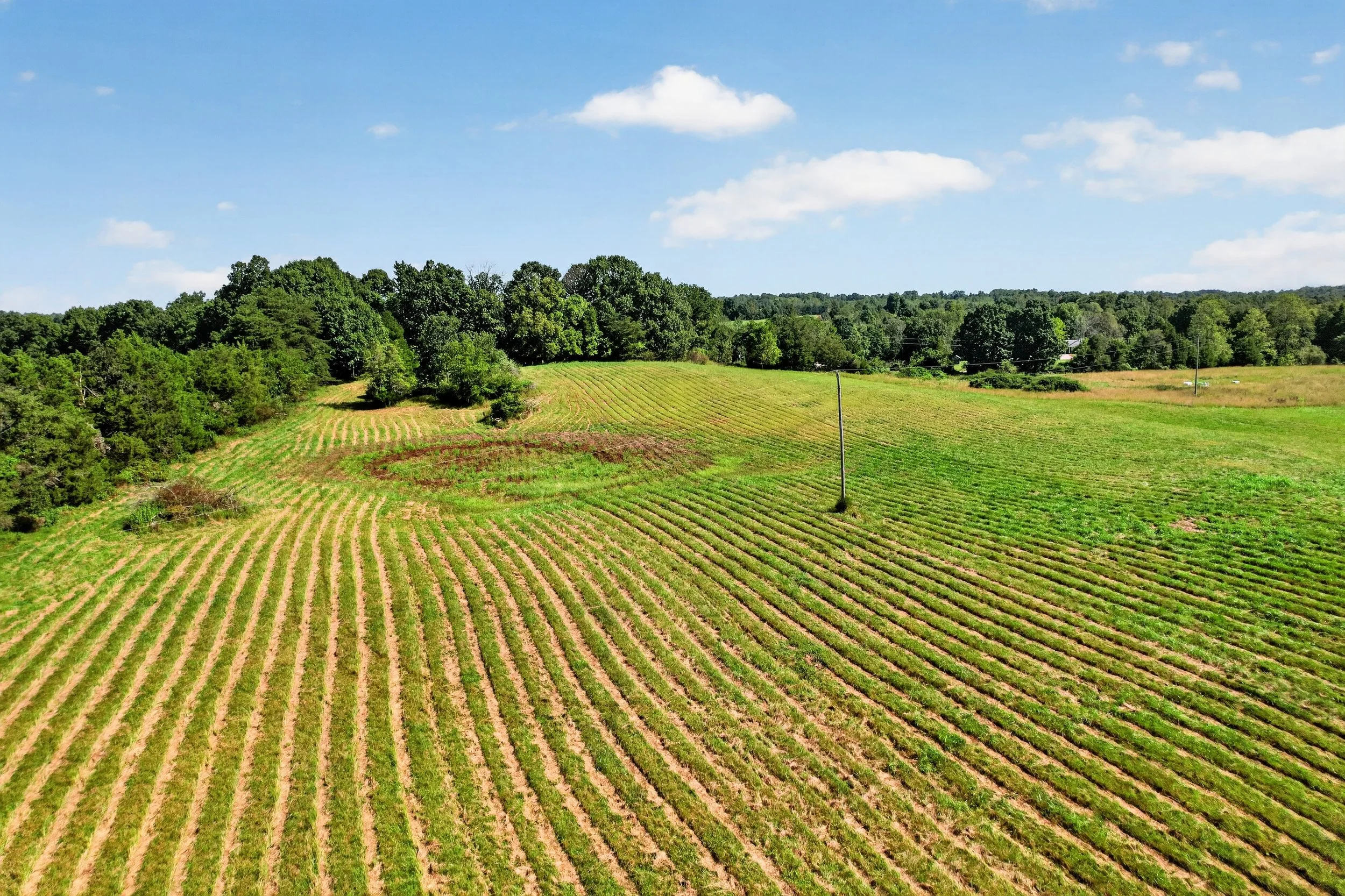DJI_0923.jpg