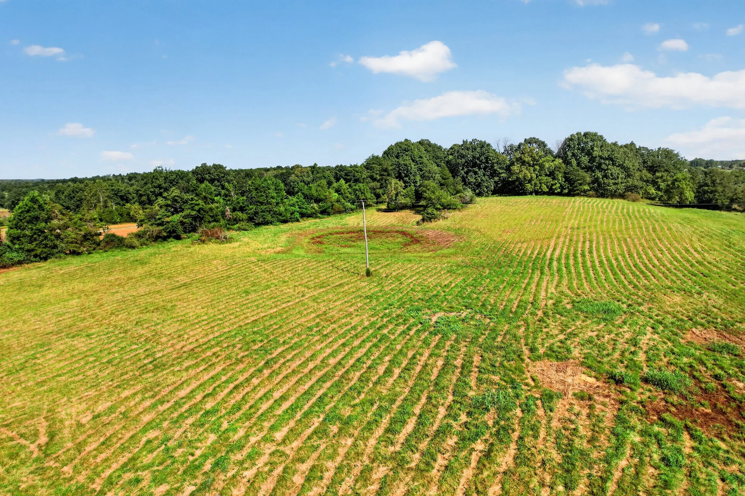 DJI_0917.jpg