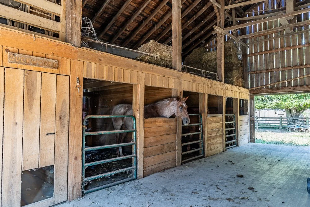 426A7582-HDR.jpg