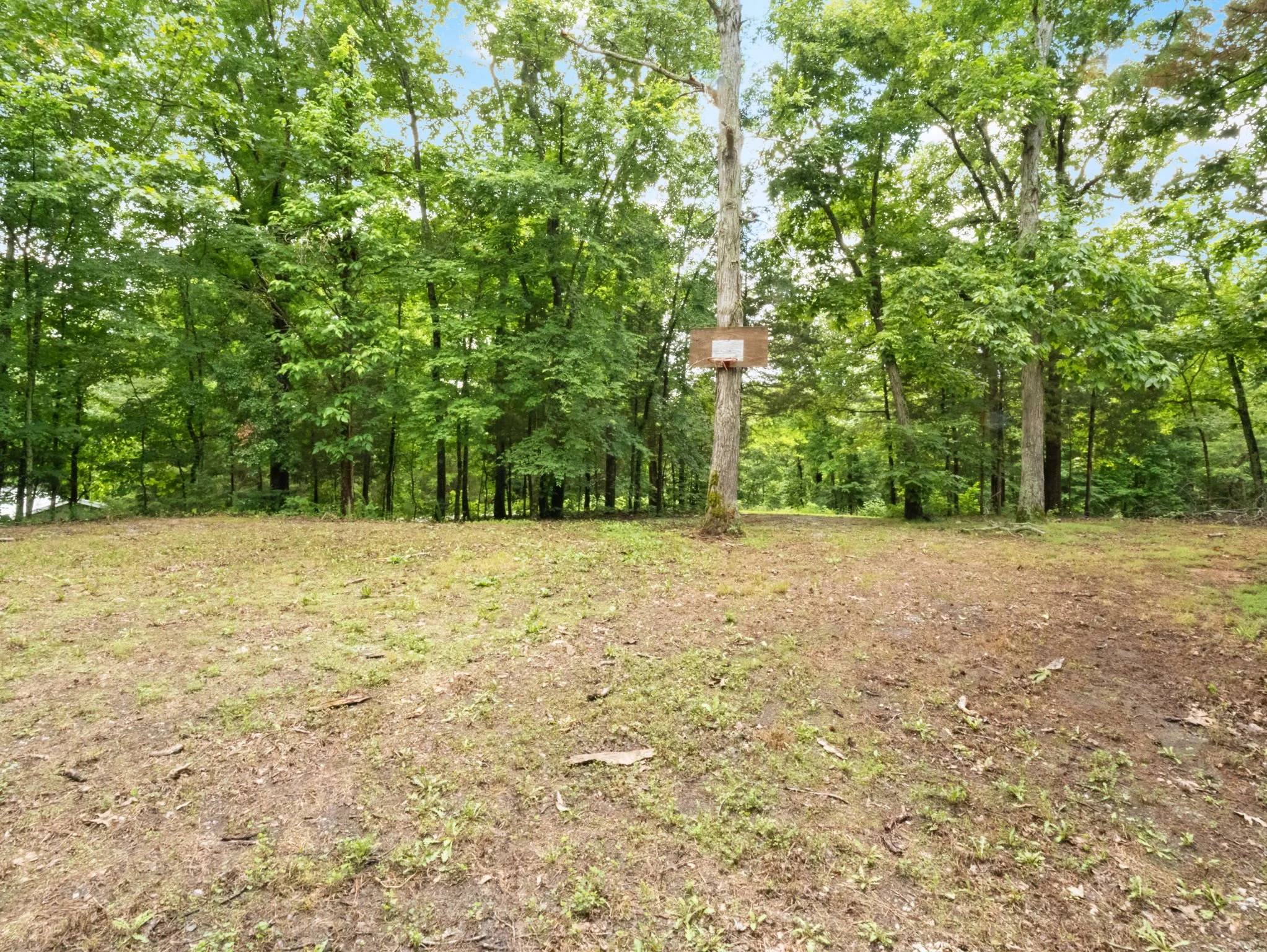 23-web-or-mls-P1025666.jpg