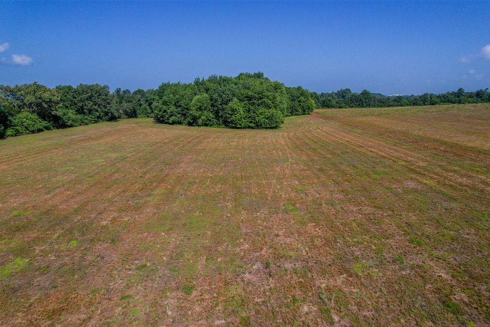 DJI_0946-HDR.jpg