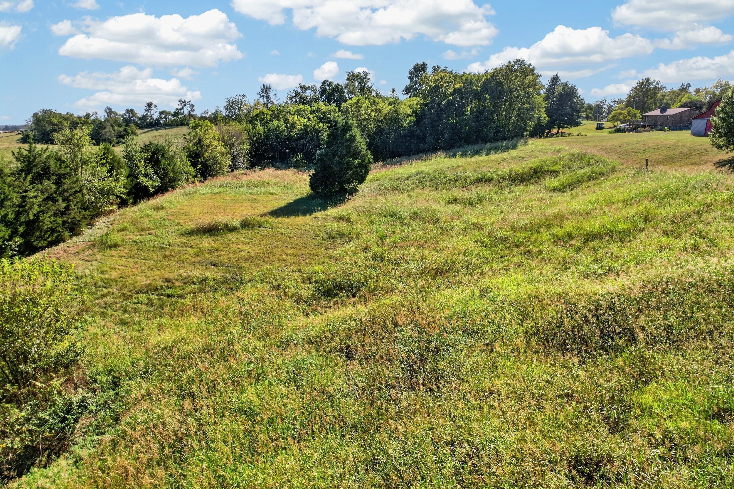 DJI_0457.jpg