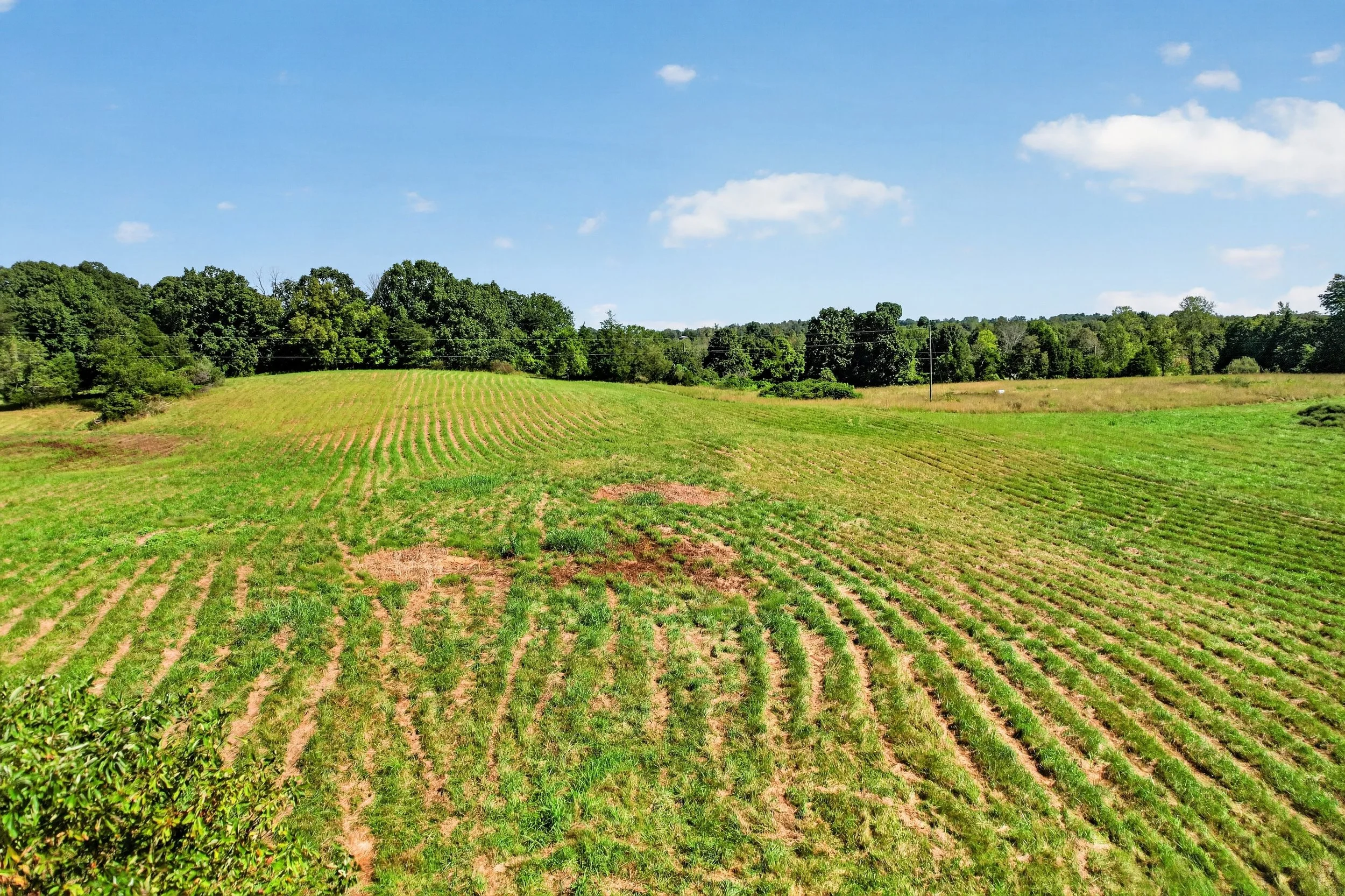 DJI_0916.jpg