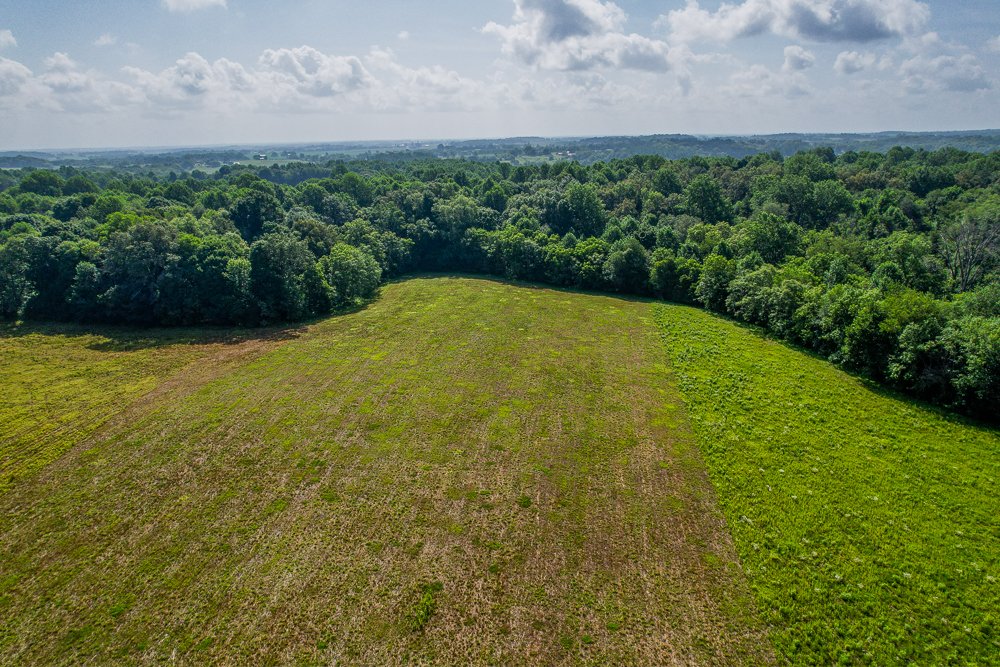 DJI_0967-HDR.jpg