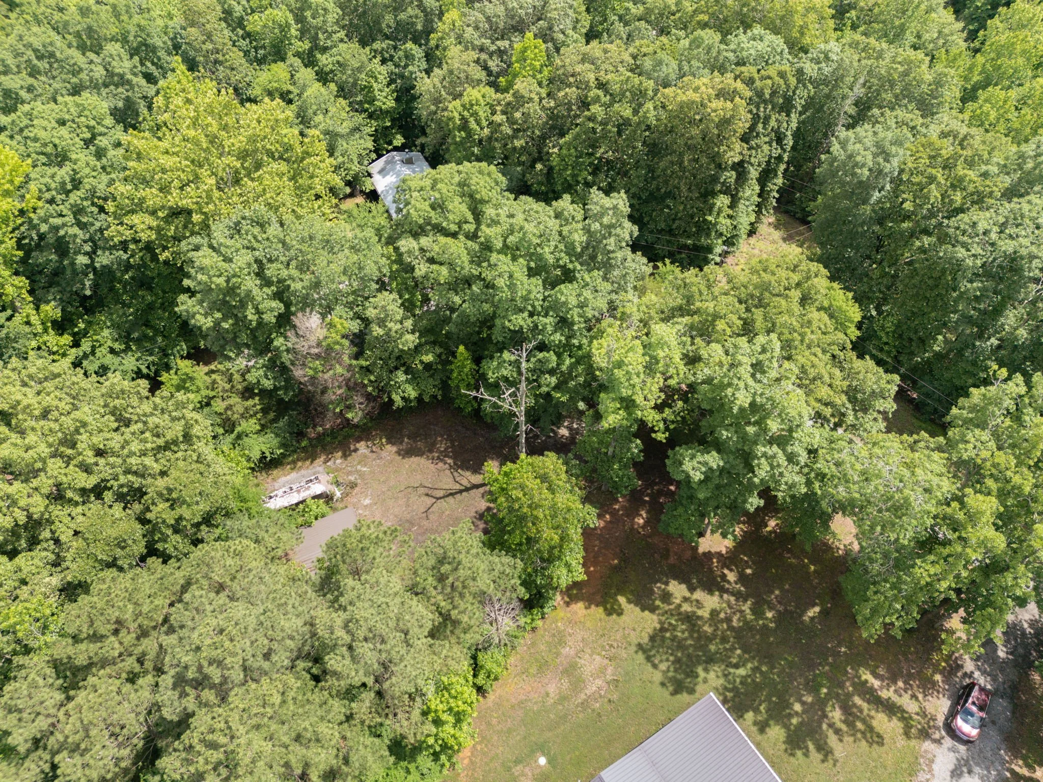 12-web-or-mls-DJI_0158.jpg