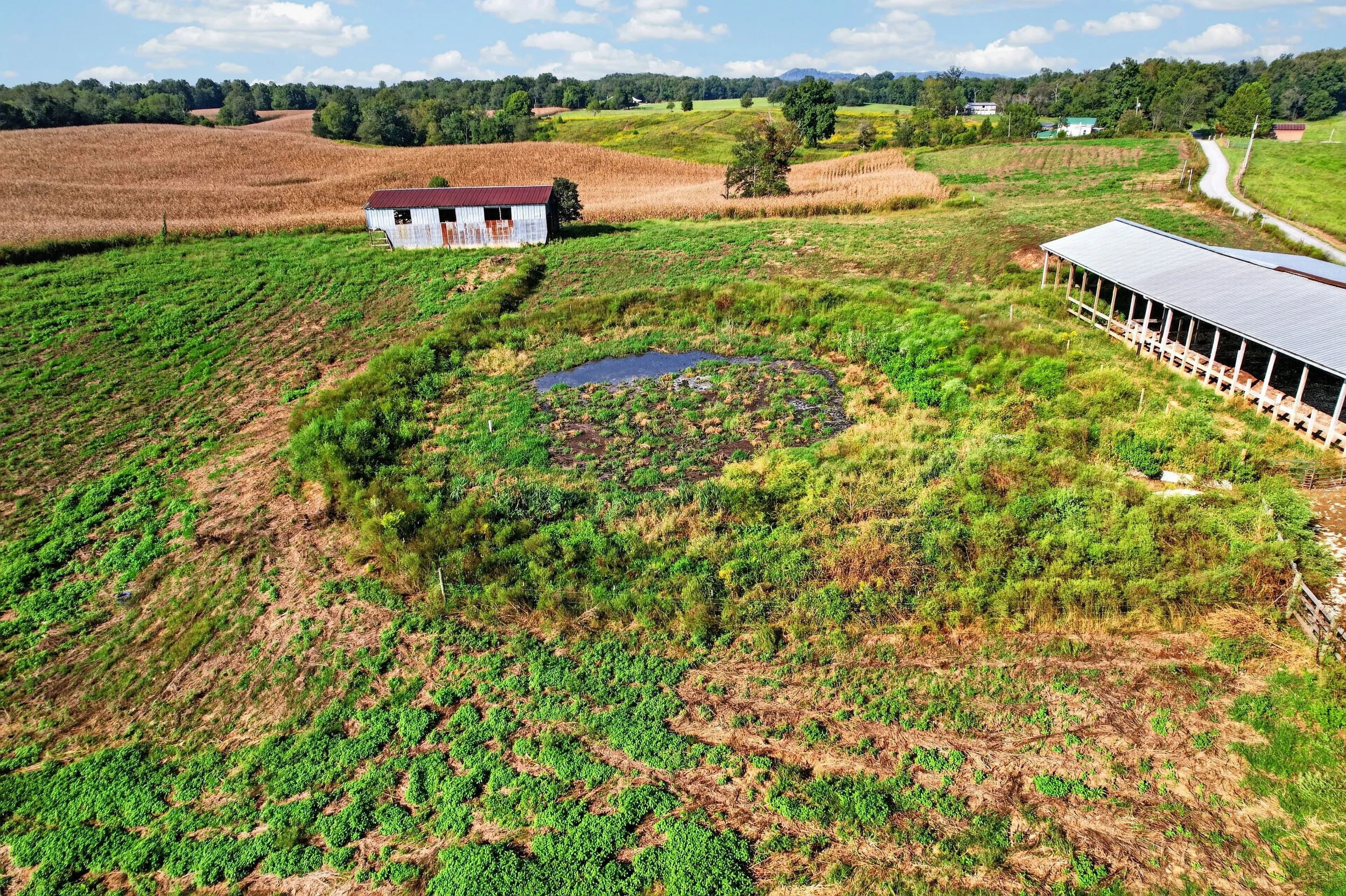 DJI_0128.jpg