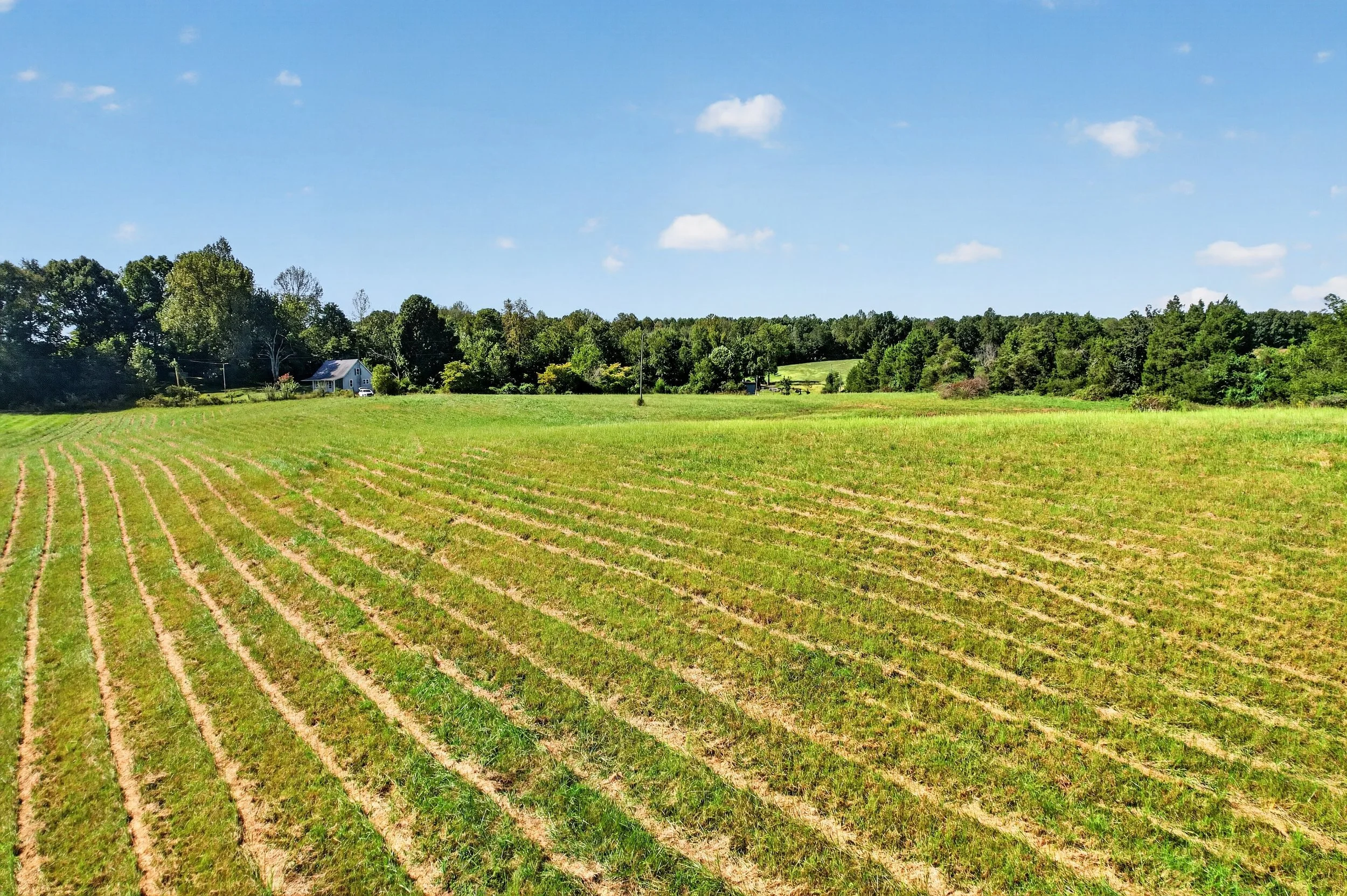 DJI_0896.jpg