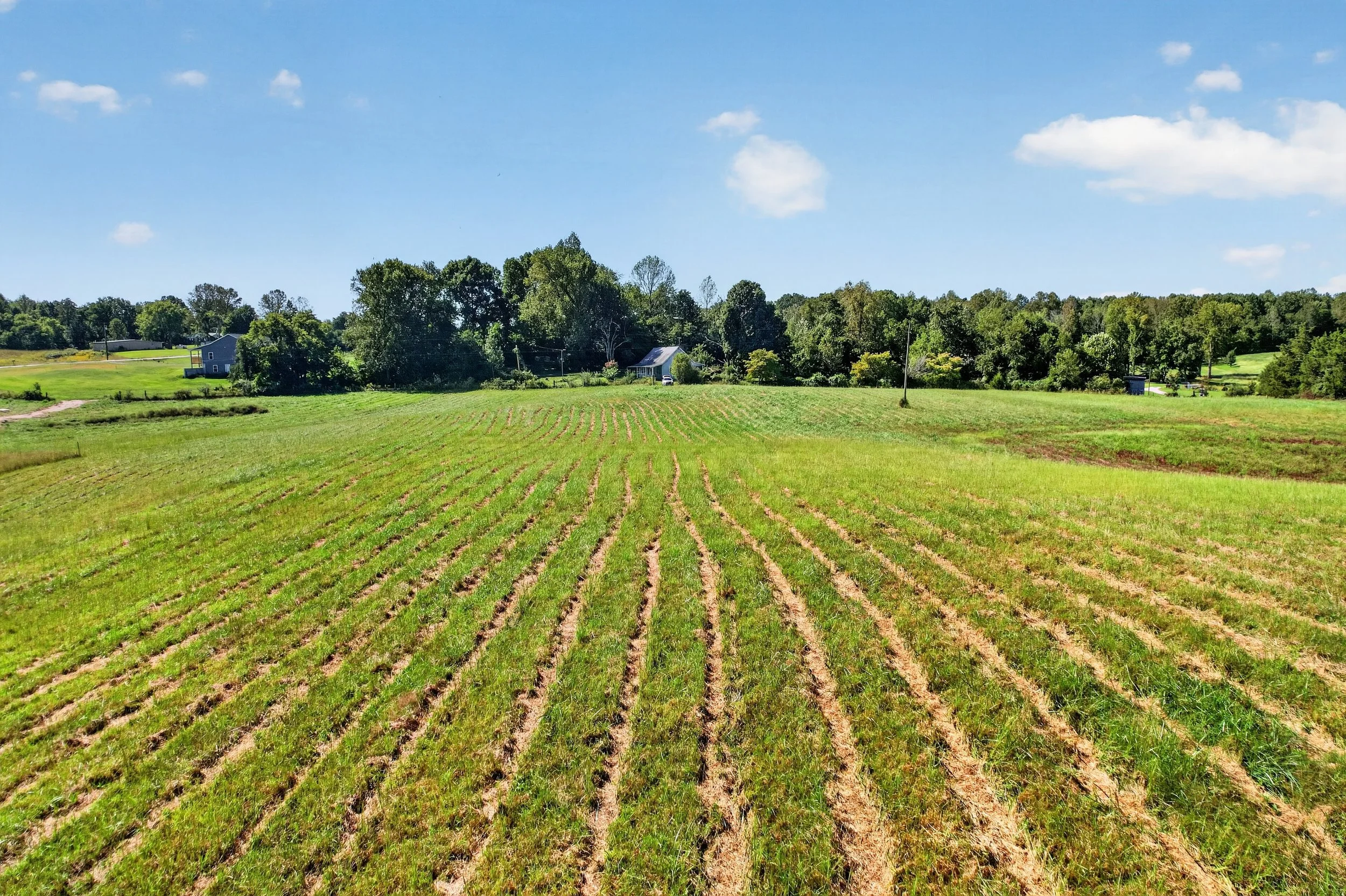 DJI_0902.jpg