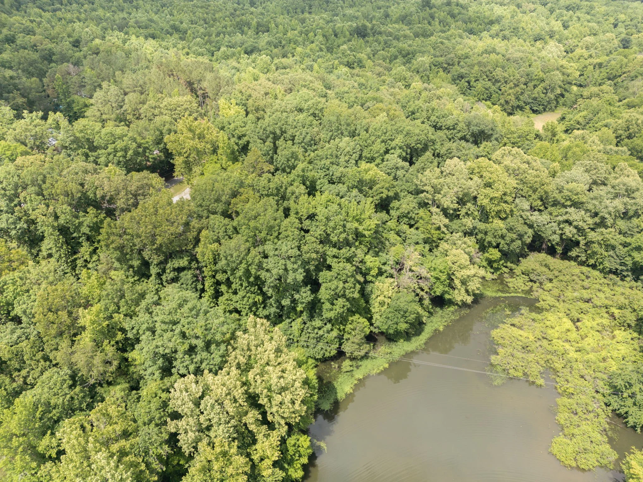 9-web-or-mls-DJI_0155.jpg