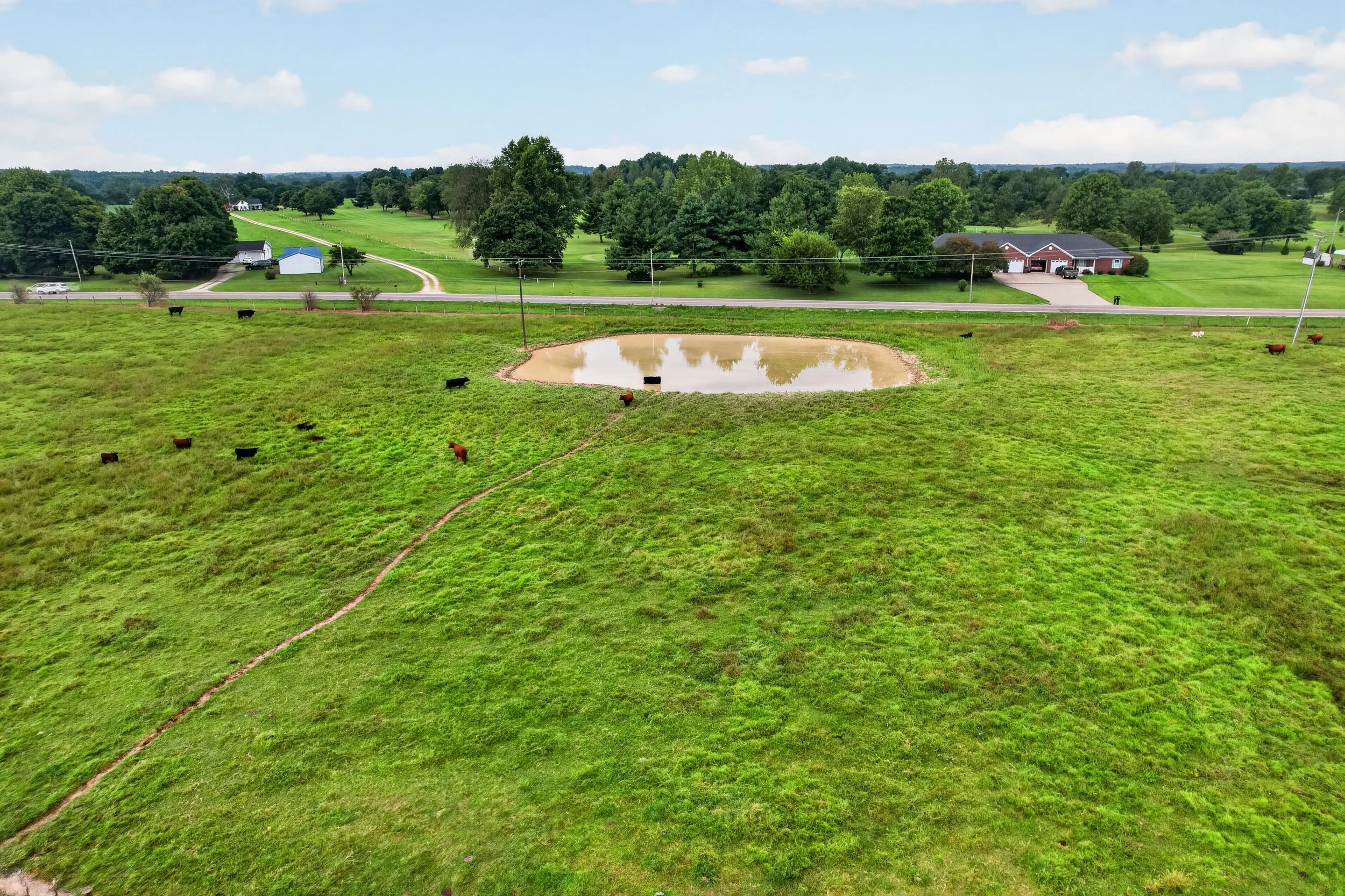 049_DJI_0334.jpg