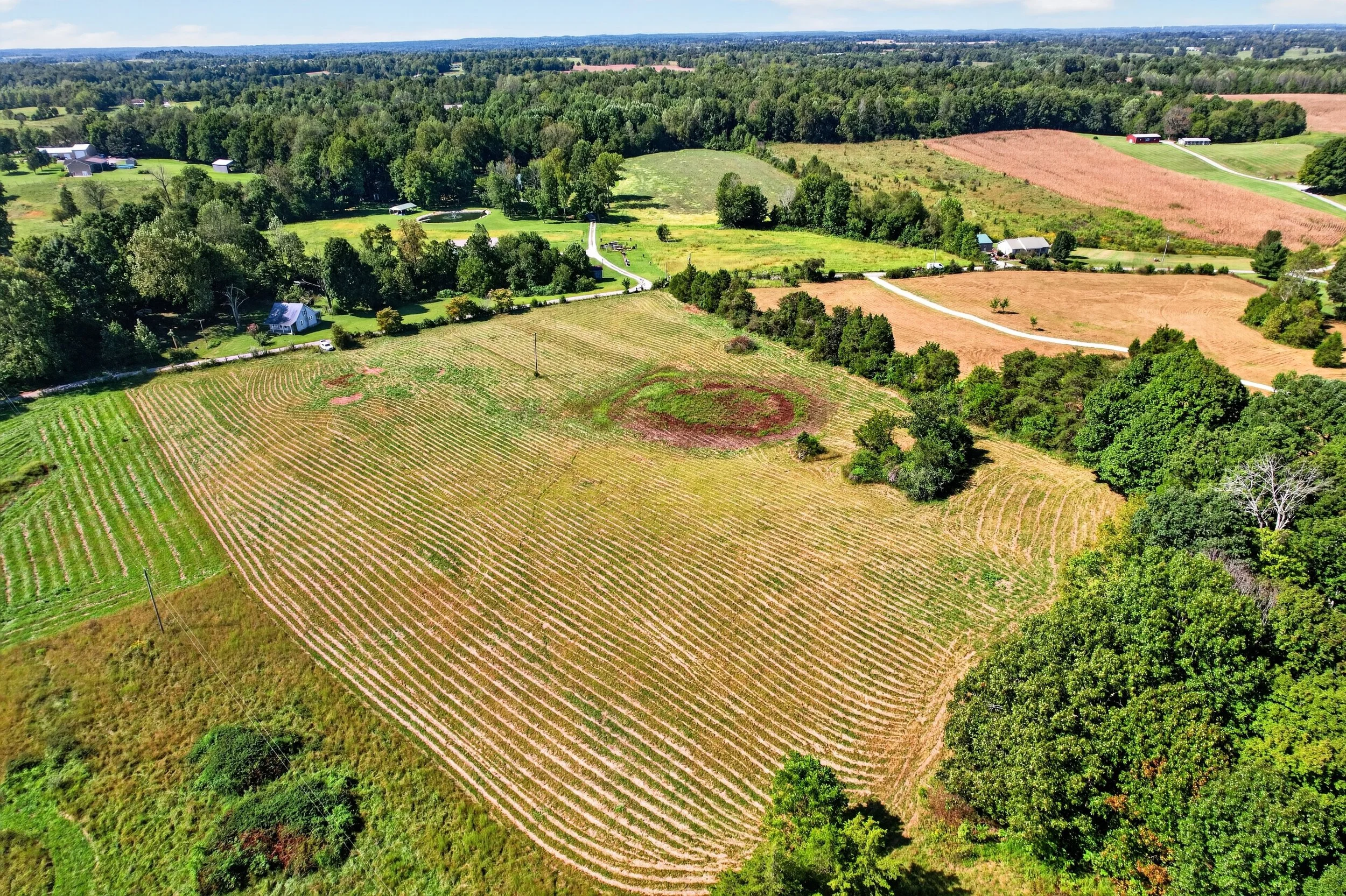 DJI_0890.jpg