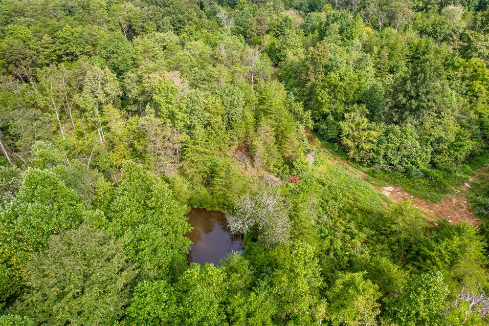DJI_0574-HDR.jpg
