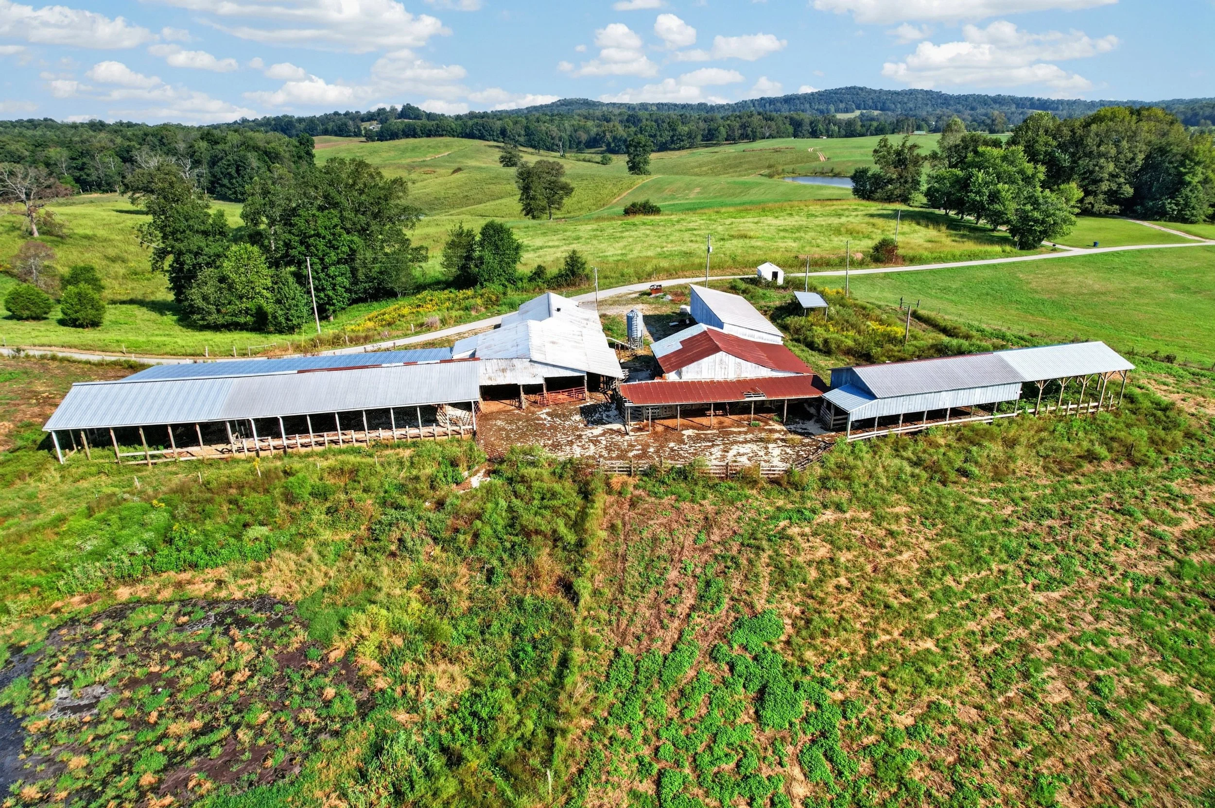 DJI_0130.jpg