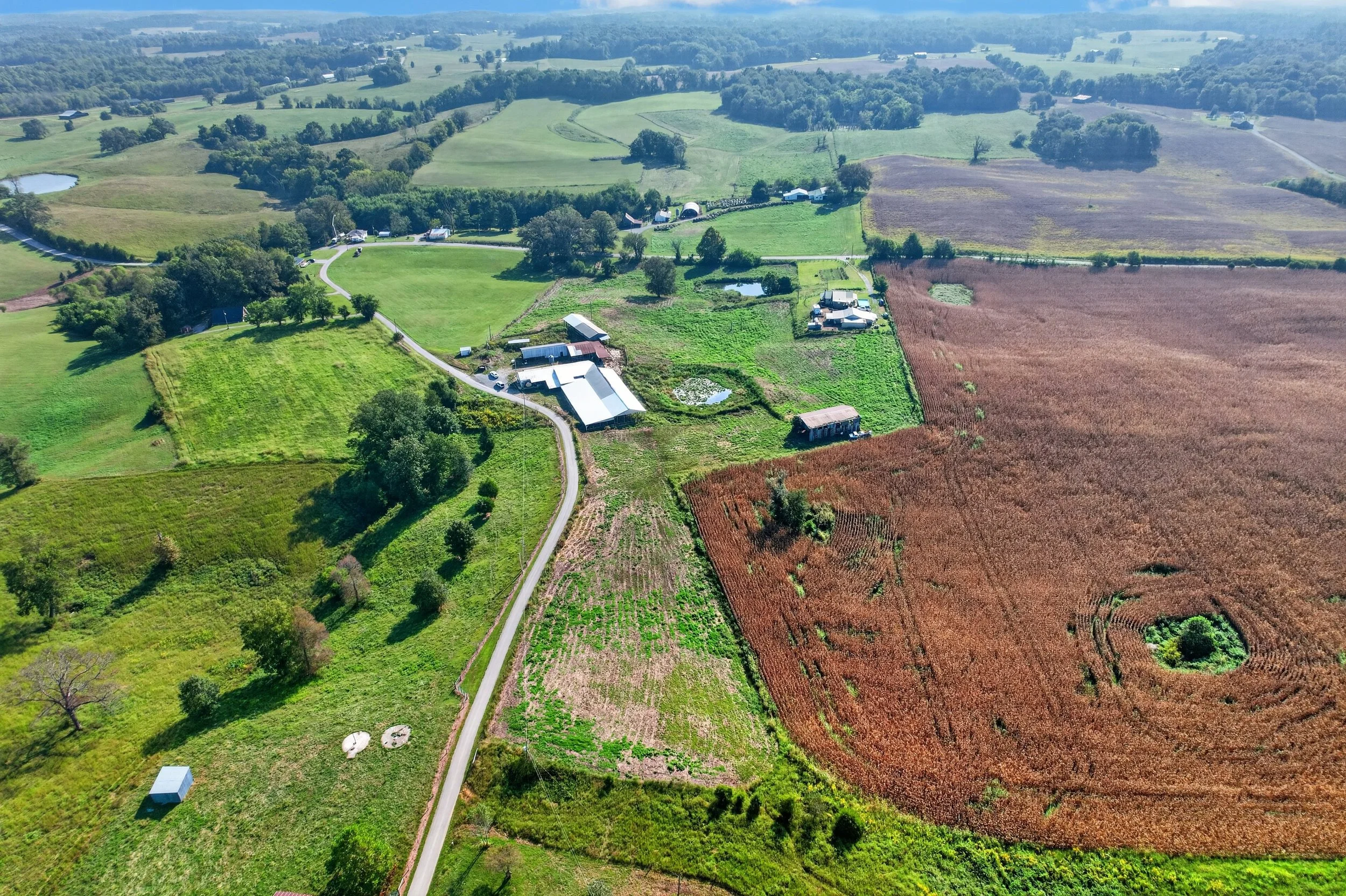 DJI_0142.jpg