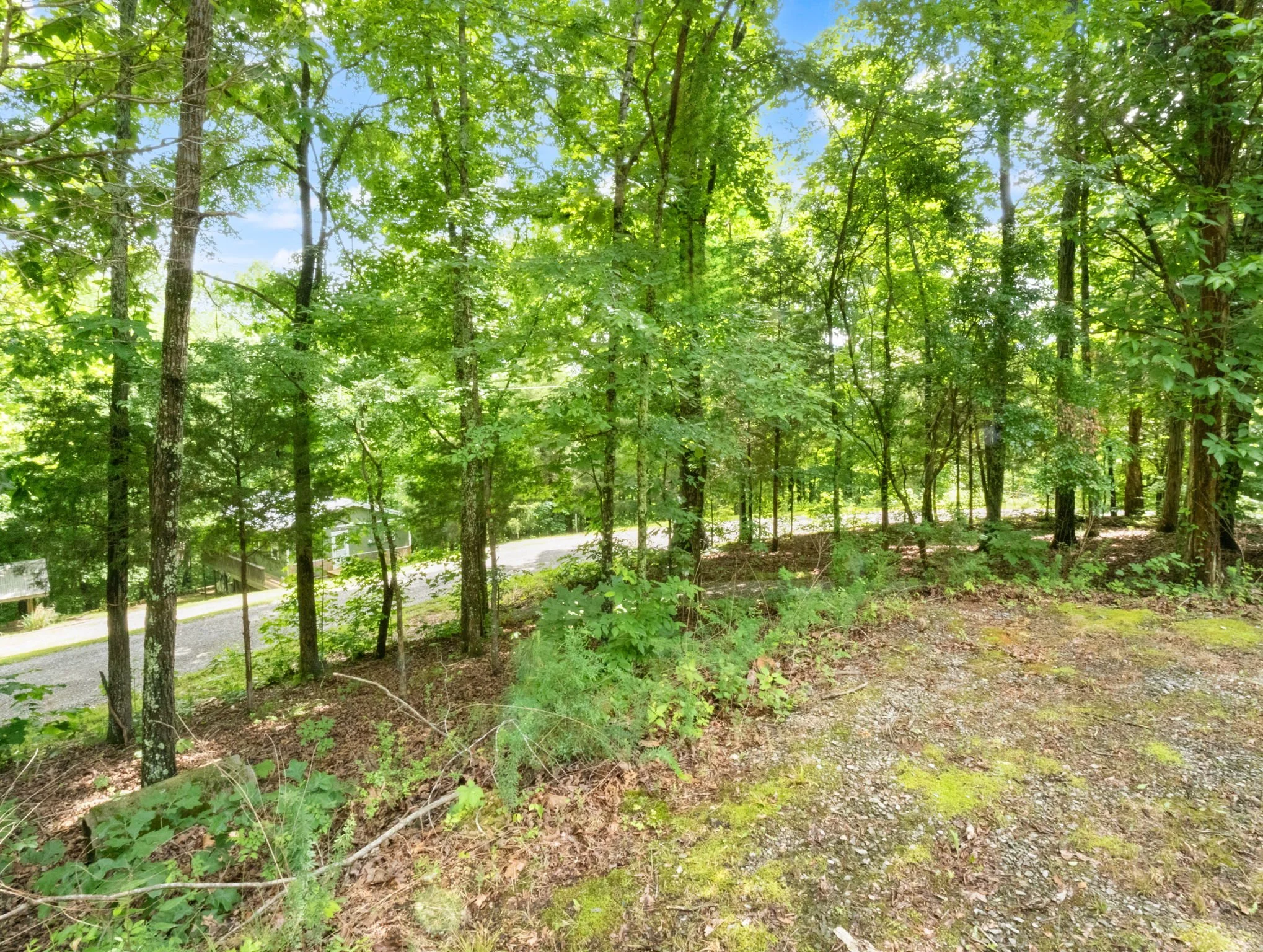 26-web-or-mls-P1025678.jpg
