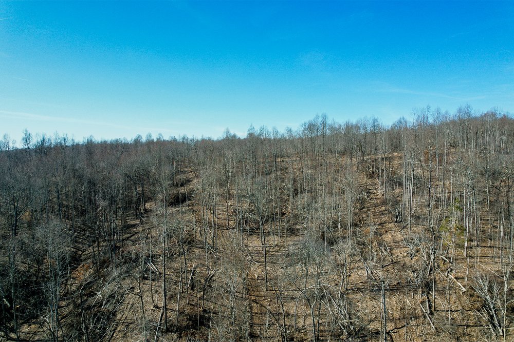 DJI_0697-HDR.jpg