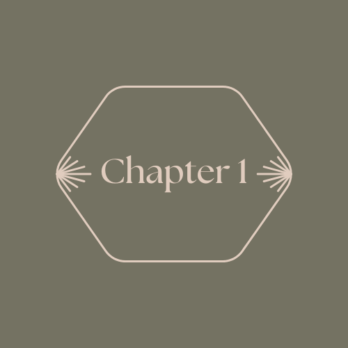 Chapter One - Loyalty 3.0