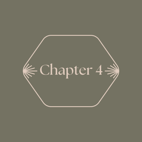 Chapter Four - Gamification: The Engine of Loyalty 3.0.