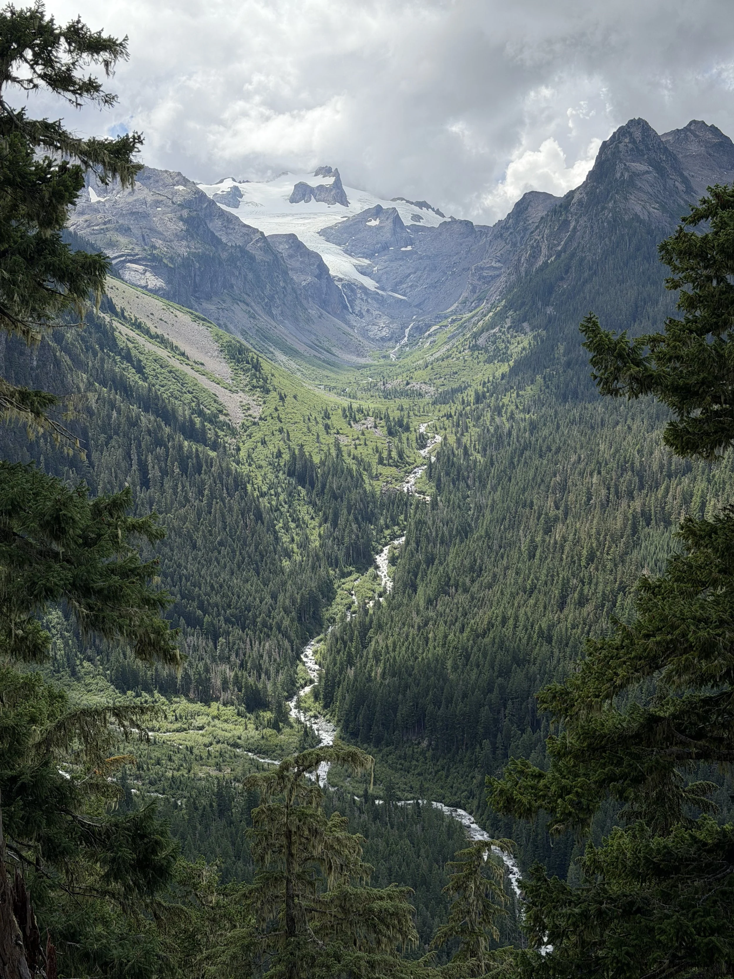A mountain valley with lush green forest, a stream flowing through the valley, snow-capped peaks in the background, and clouds covering part of the sky.