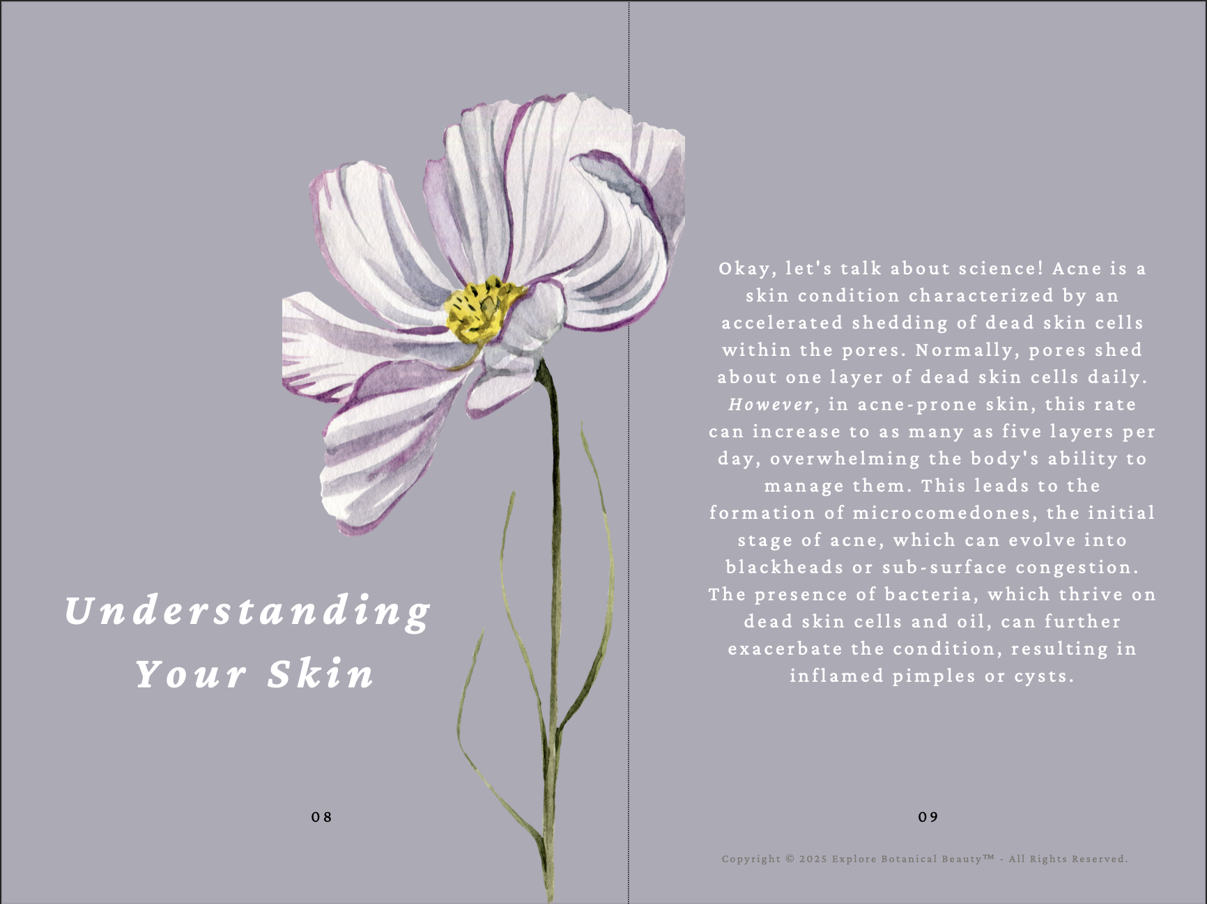 Screenshot 2025-04-25 at 12.37.03 PM.png