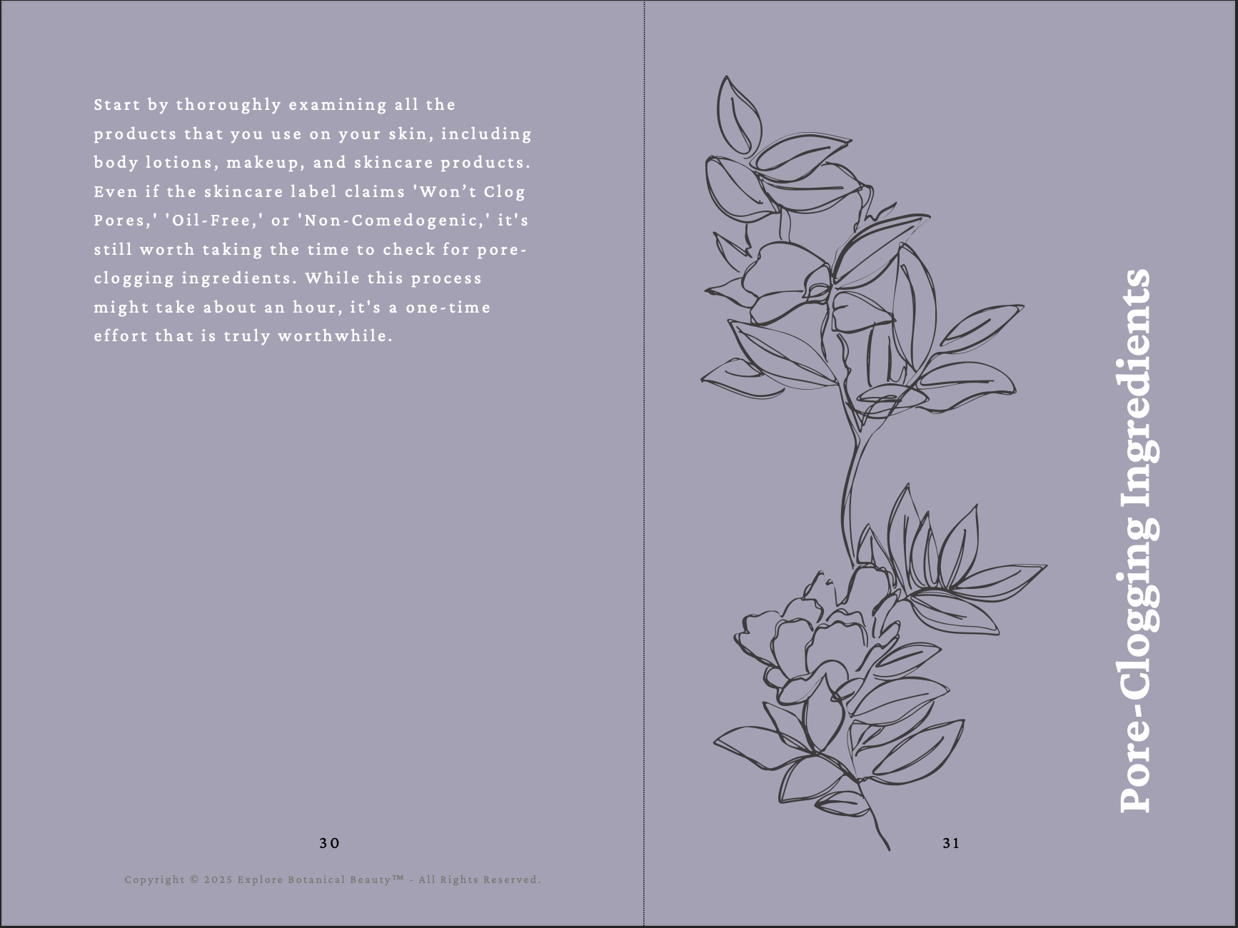 Screenshot 2025-04-25 at 12.37.37 PM.png