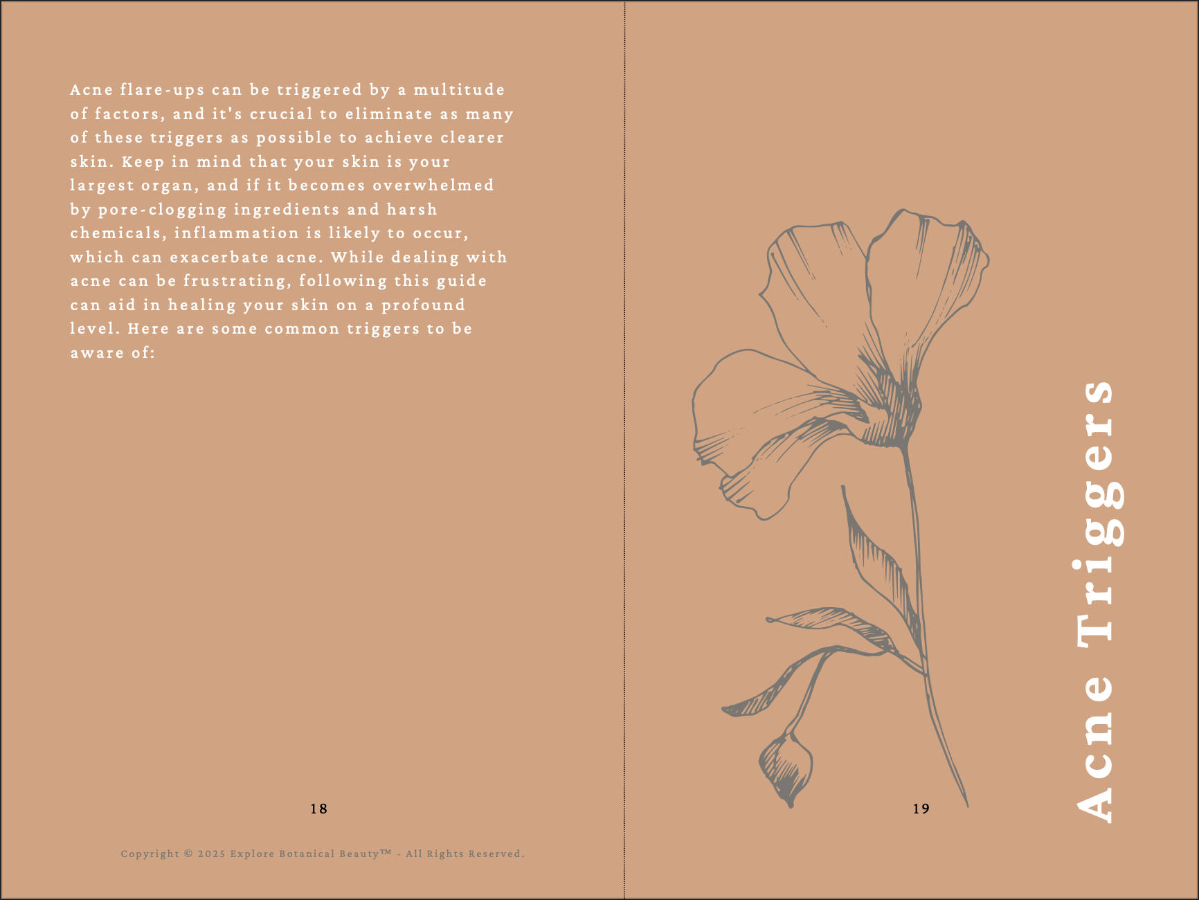 Screenshot 2025-04-25 at 12.37.19 PM.png