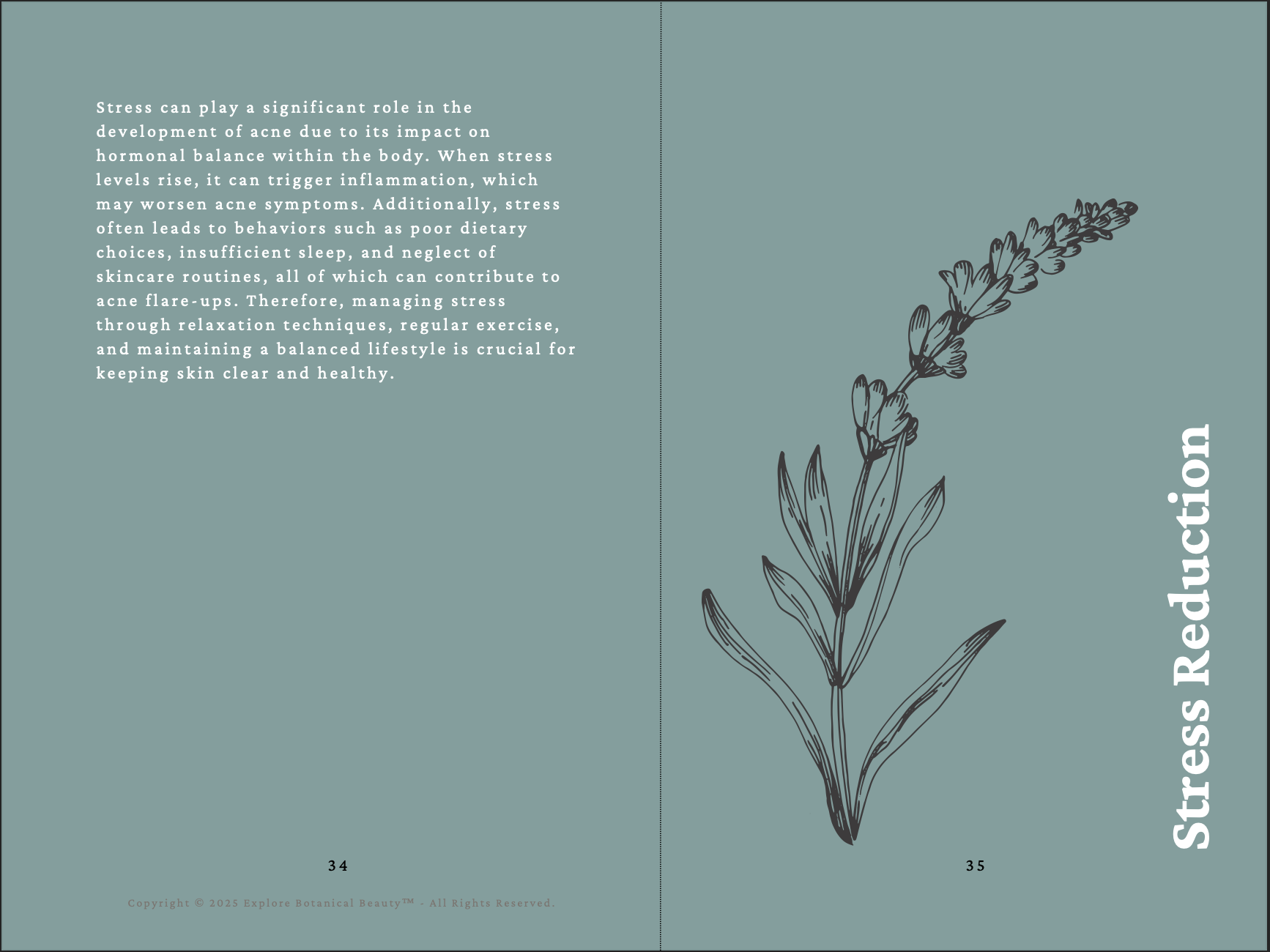 Screenshot 2025-04-25 at 12.37.56 PM.png