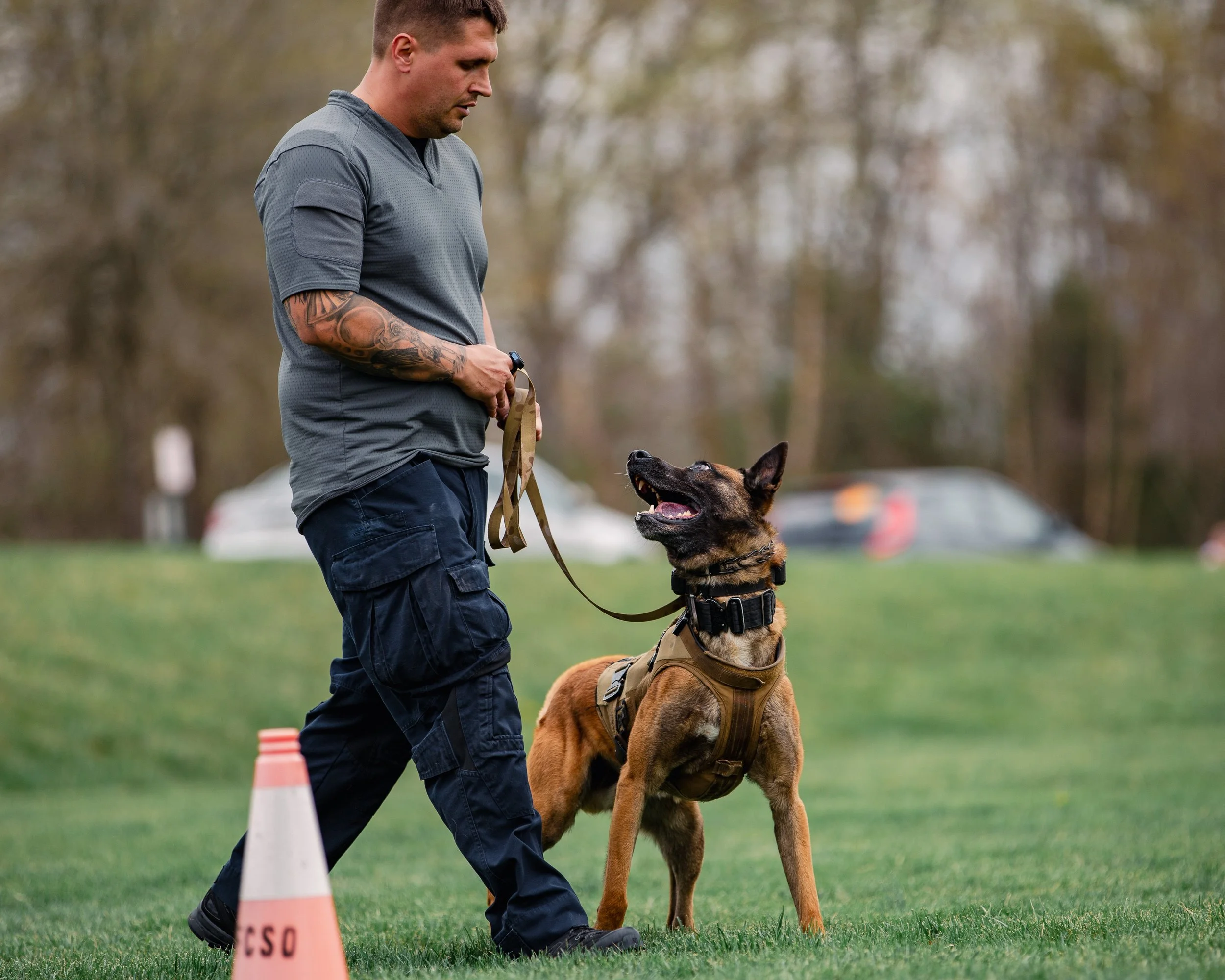 Building relationships with dogs through consistent, balanced training. Board and trains in Harrisonburg, Staunton, Charlottesville, Richmond, Arlington, and surrounding areas