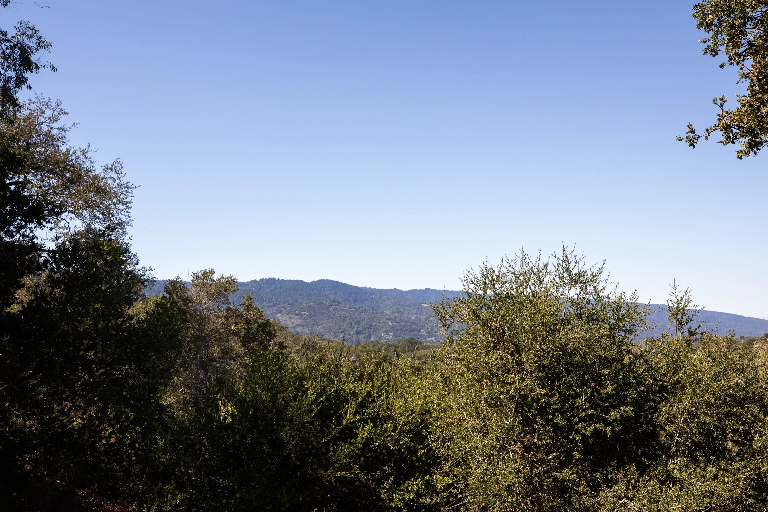 26-Golden Hills_Matt Anello-0826-MLS.jpg